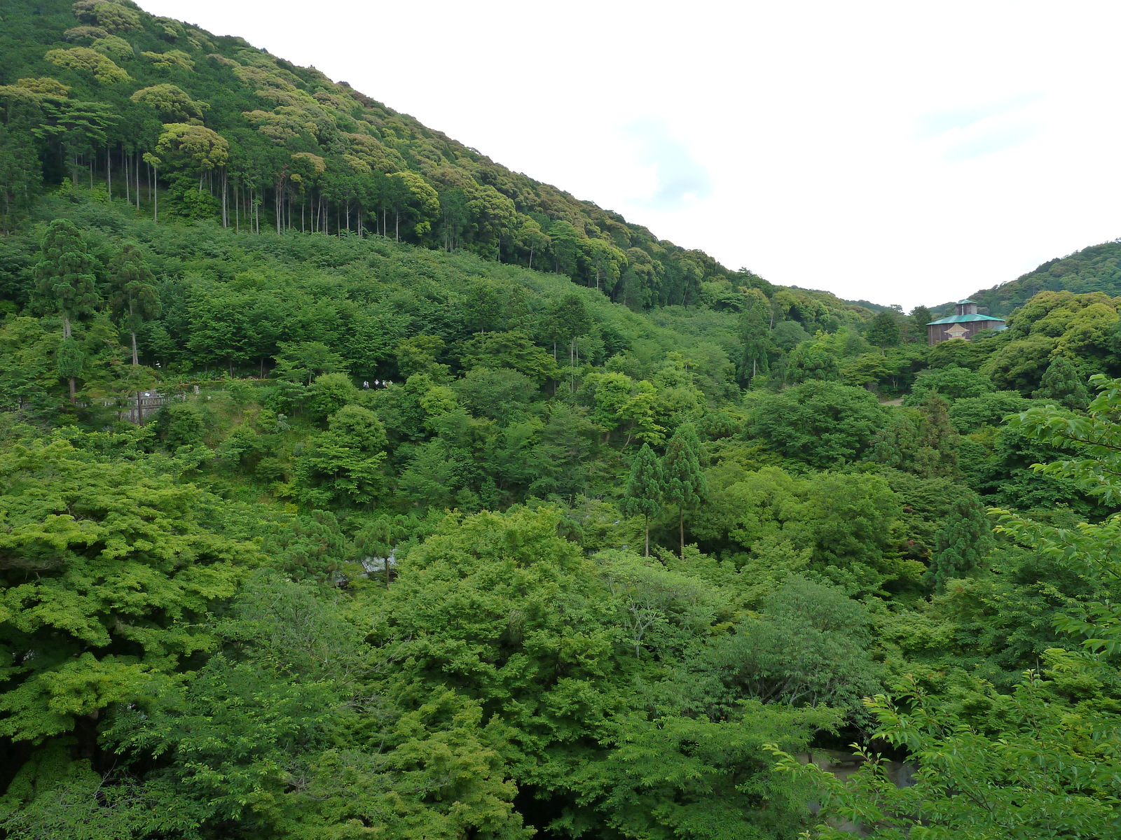 รูปถ่าย ญี่ปุ่น(Japan) เกียวโต(Kyoto) วัดคิโยมิซุเดระ(Kiyomizu Dera Temple) 2010-06 13