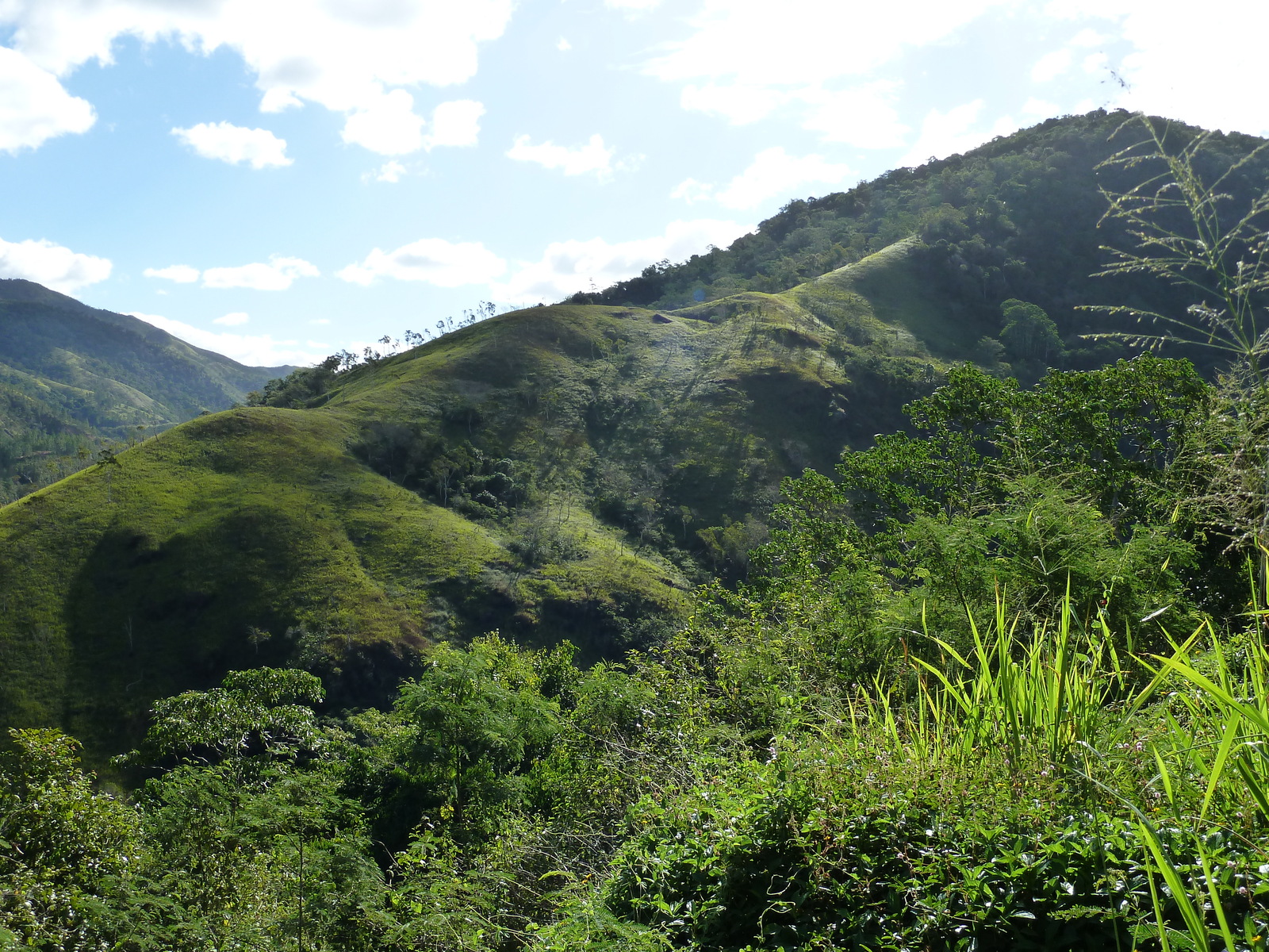 รูปถ่าย นิวแคลิโดเนีย(New Caledonia) ถนนจากกานาลาไปลาฟัว(Canala to La Foa road) 2010-05 19