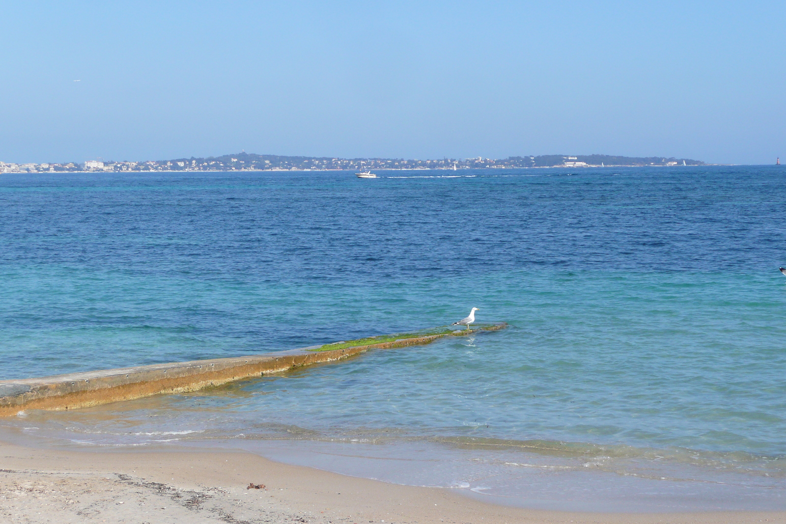 รูปถ่าย ฝรั่งเศส(France) คานส์(Cannes) หาดกาซาแญร์(Plage Gazagnaire) 2008-03 75
