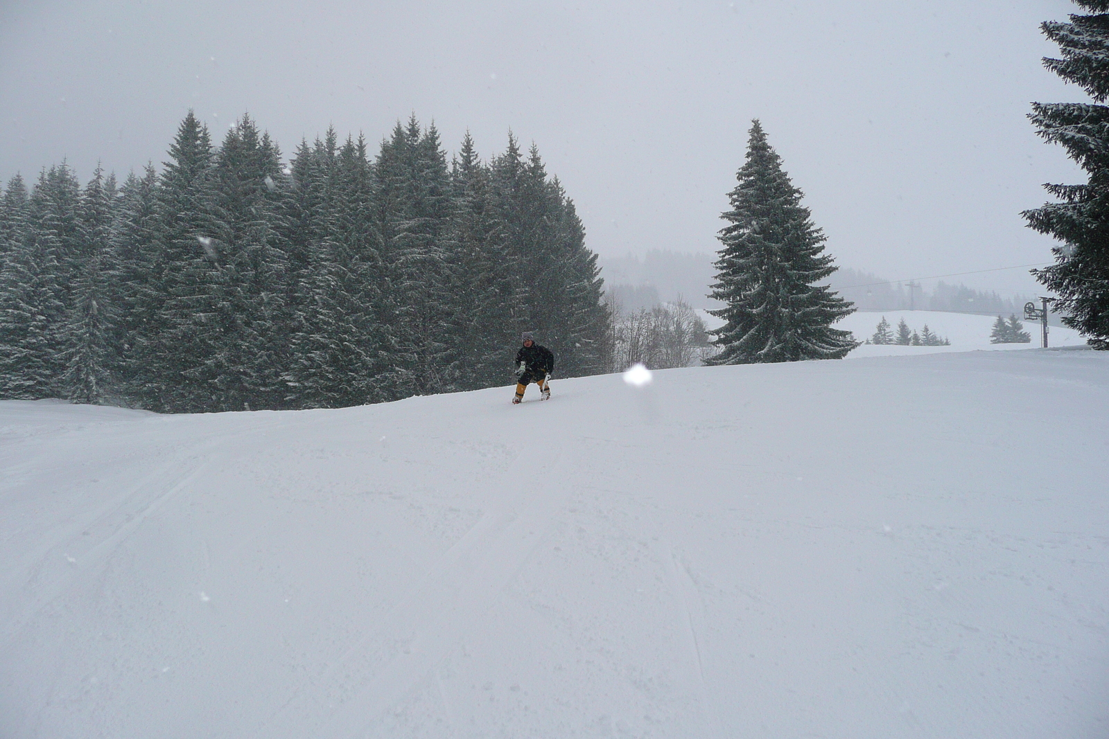 รูปถ่าย ฝรั่งเศส(France) เมแฌฟว์(Megeve) มงดาร์บัว(Mont d'Arbois) 2010-02 7