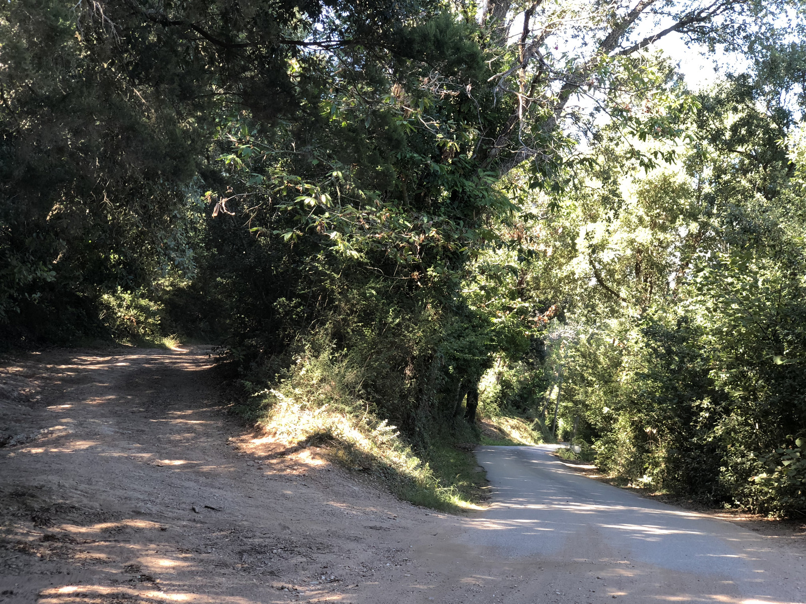 รูปถ่าย ฝรั่งเศส(France) คอร์สิคา(Corsica) ซานจูเลียโน(San Giuliano) 2018-09 31