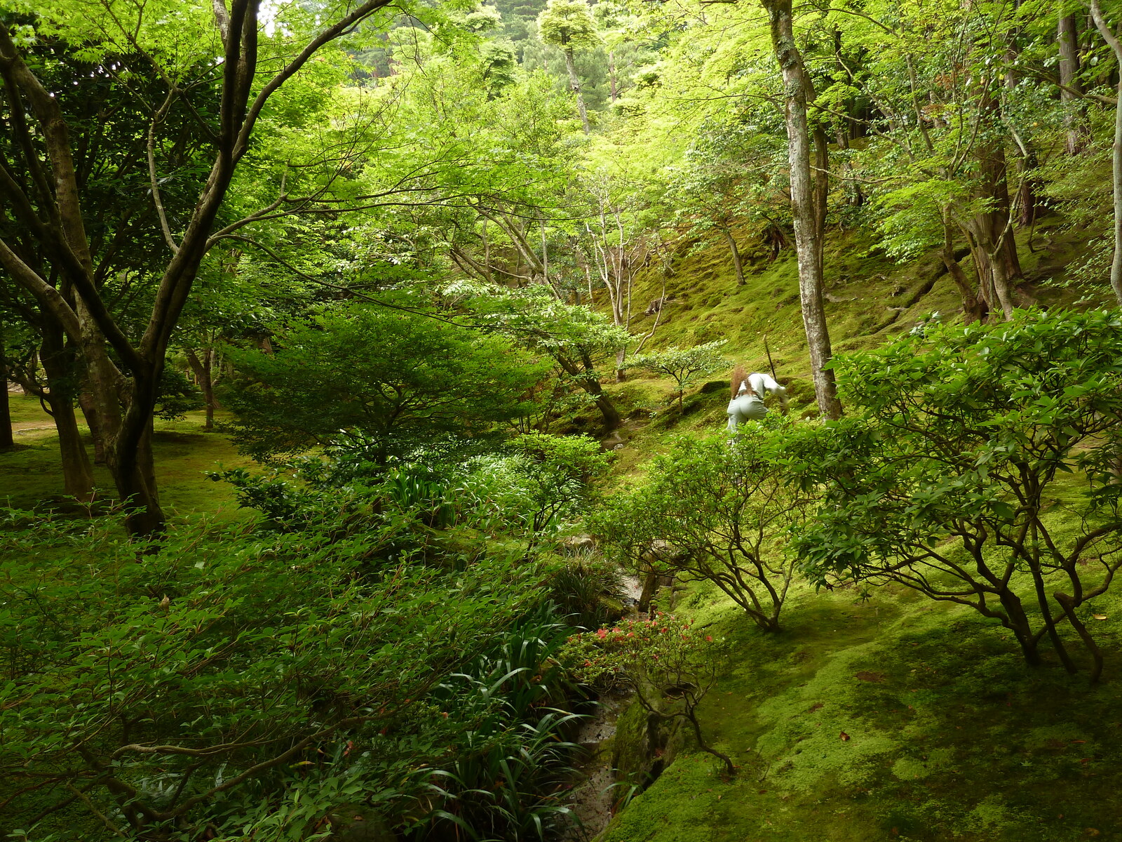 รูปถ่าย ญี่ปุ่น(Japan) เกียวโต(Kyoto) วัดกินกะกุจิ (ศาลาเงิน)(Ginkakuji Temple(Silver Pavilion)) 2010-06 79