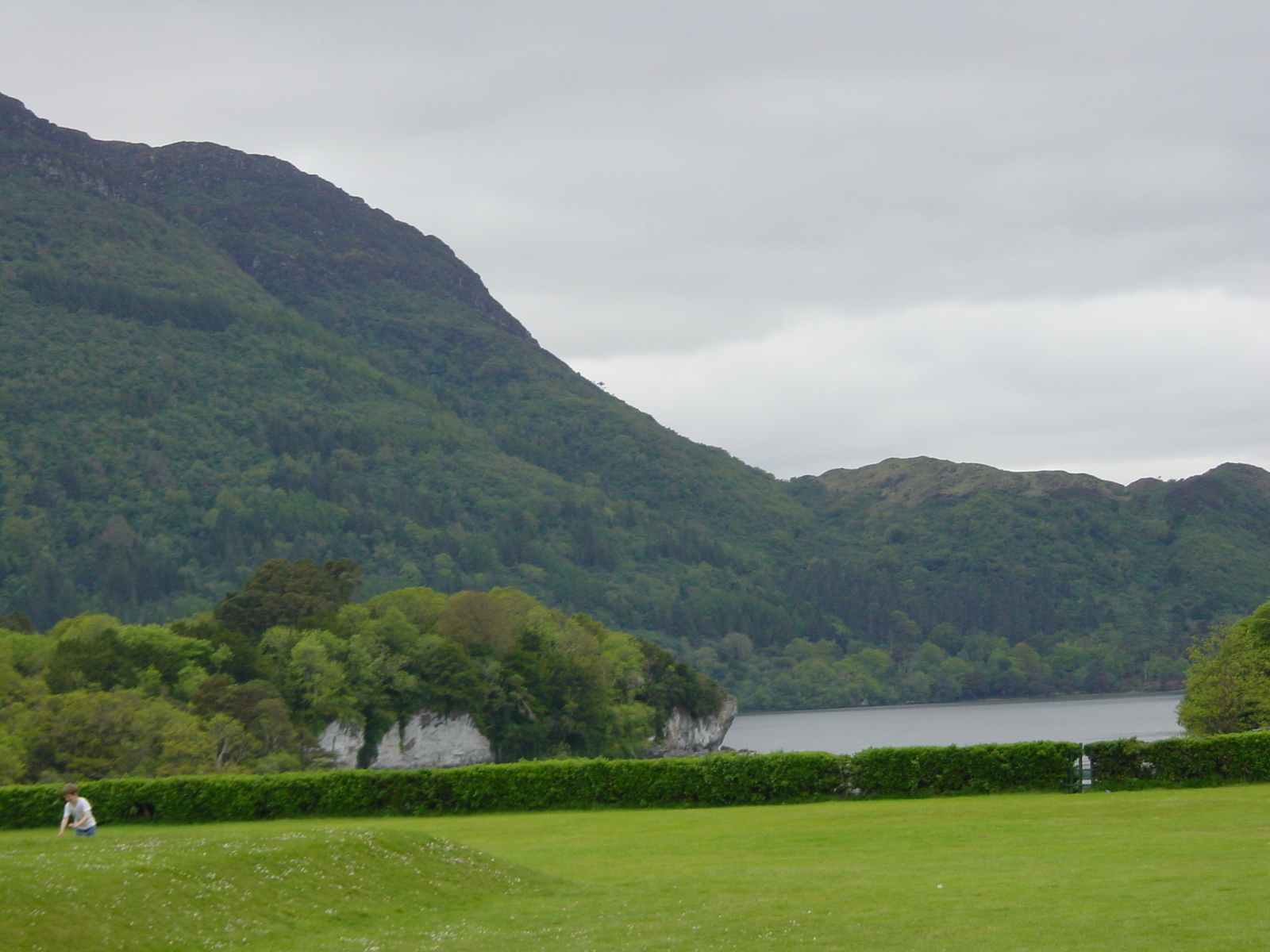 รูปถ่าย ไอร์แลนด์(Ireland) เคอร์รี่(Kerry) สวนสาธารณะคิลลาร์นีย์เนชั่นเนล(Killarney National Park) บ้านมัครอส(Muckross House) 2004-05 26