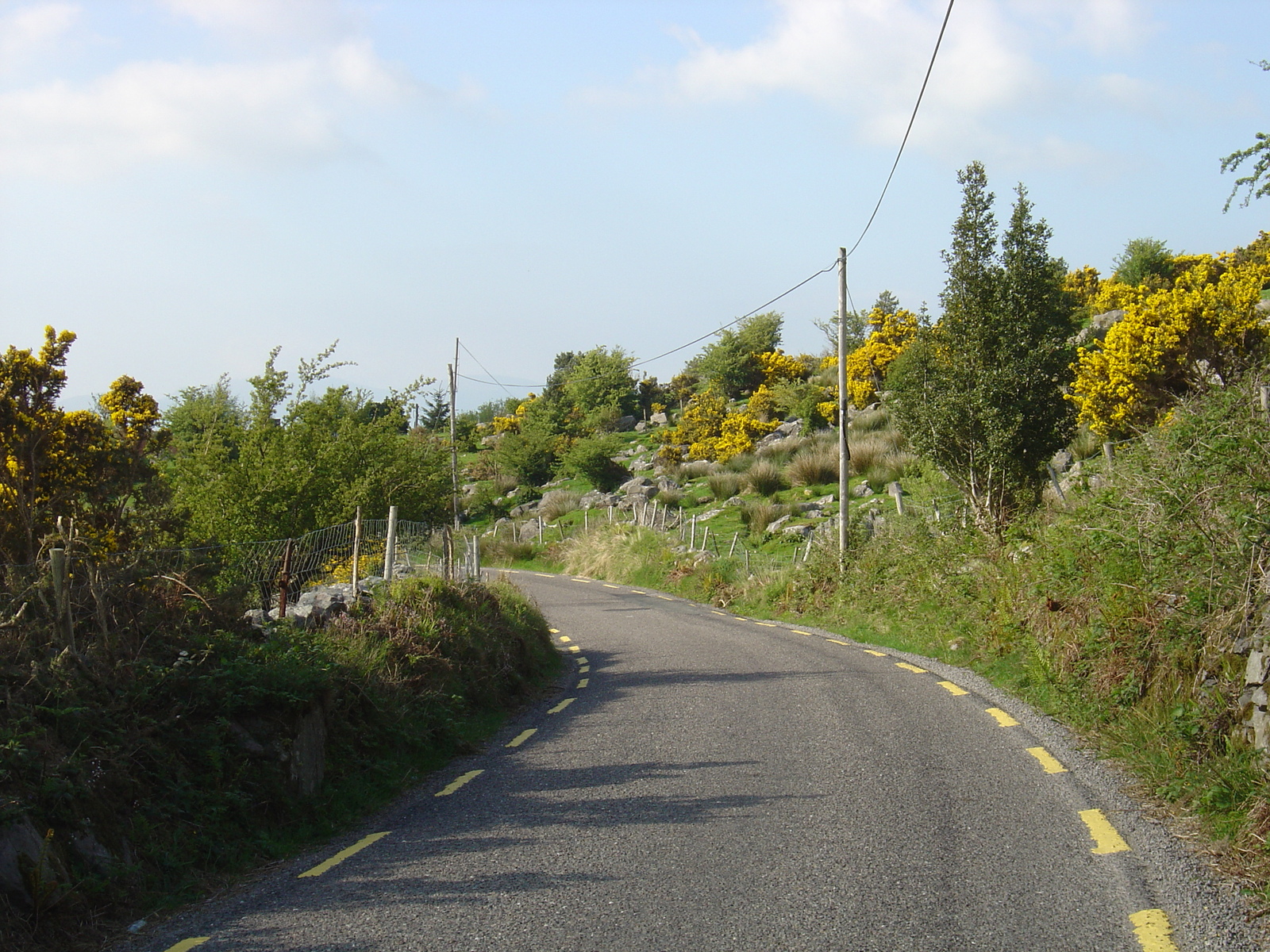 รูปถ่าย ไอร์แลนด์(Ireland) เคอร์รี่(Kerry) ทะเลสาบคารา(Caragh Lake) 2004-05 46