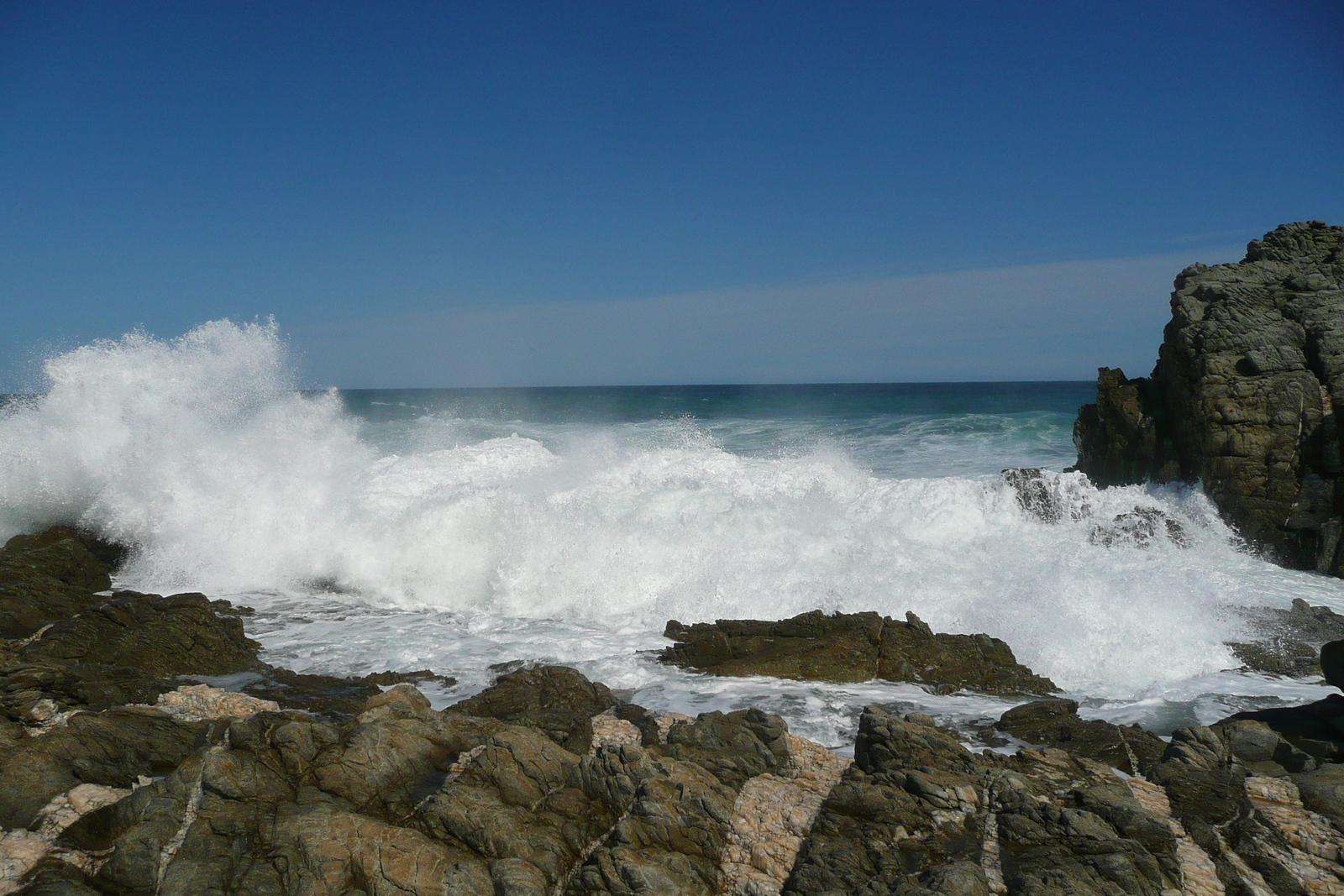 รูปถ่าย แอฟริกาใต้(South Africa) อุทยานแห่งชาติซิตซิคัมมา(Tsitsikamma National Park) 2008-09 314