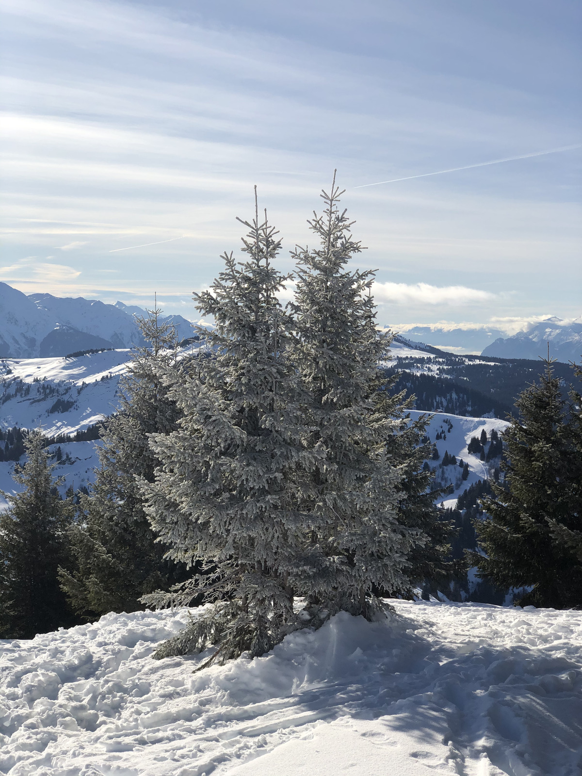 รูปถ่าย ฝรั่งเศส(France) ปรา-ซูร์-อาร์ลี(Praz sur Arly) 2019-12 476