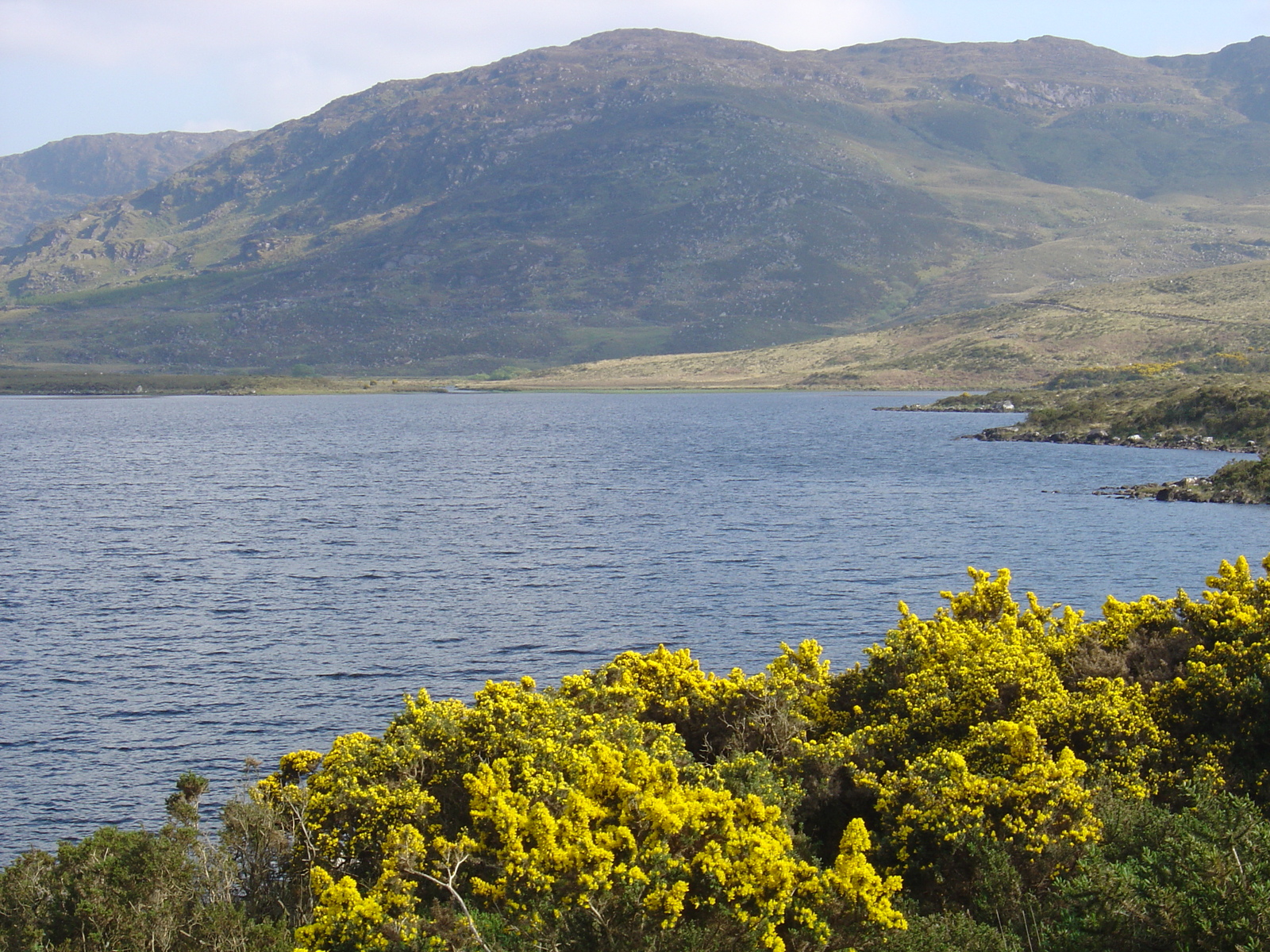 รูปถ่าย ไอร์แลนด์(Ireland) เคอร์รี่(Kerry) ทะเลสาบคารา(Caragh Lake) 2004-05 7