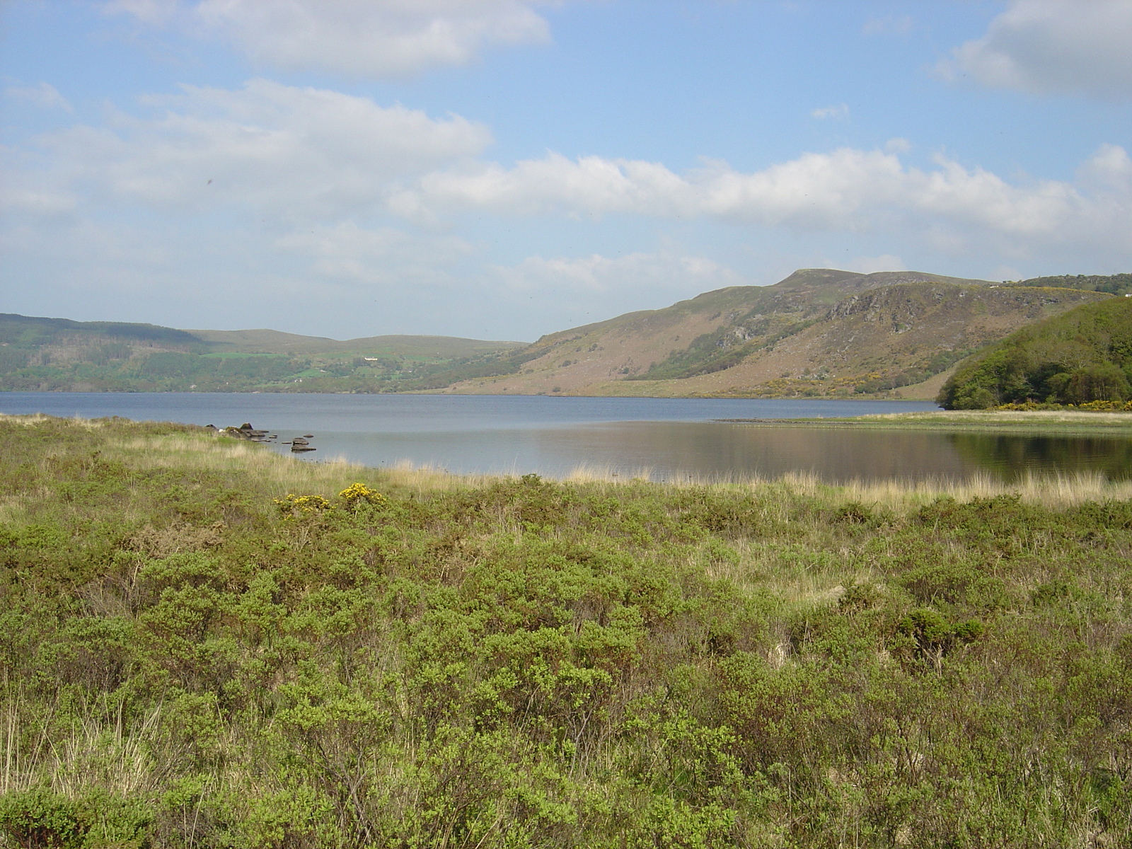 รูปถ่าย ไอร์แลนด์(Ireland) เคอร์รี่(Kerry) ทะเลสาบคารา(Caragh Lake) 2004-05 3
