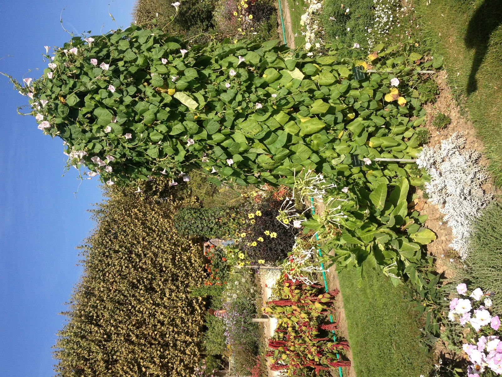 รูปถ่าย ฝรั่งเศส(France) ปารีส(Paris) สวนพันธ์ุพืช(Jardin des Plantes) 2014-09 20