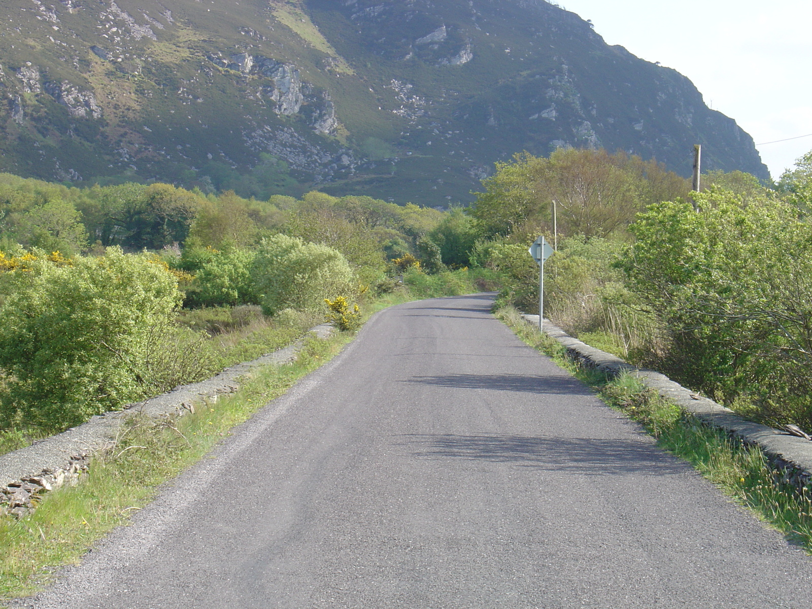 รูปถ่าย ไอร์แลนด์(Ireland) เคอร์รี่(Kerry) ทะเลสาบคารา(Caragh Lake) 2004-05 0