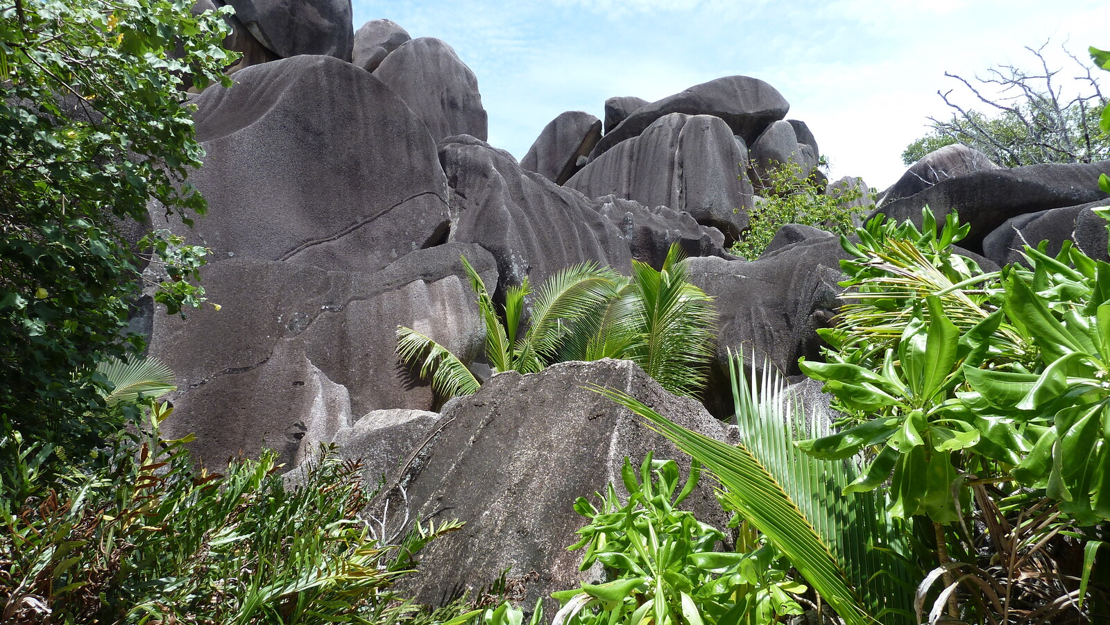 รูปถ่าย เซเชลส์(Seychelles) 2011-10 143