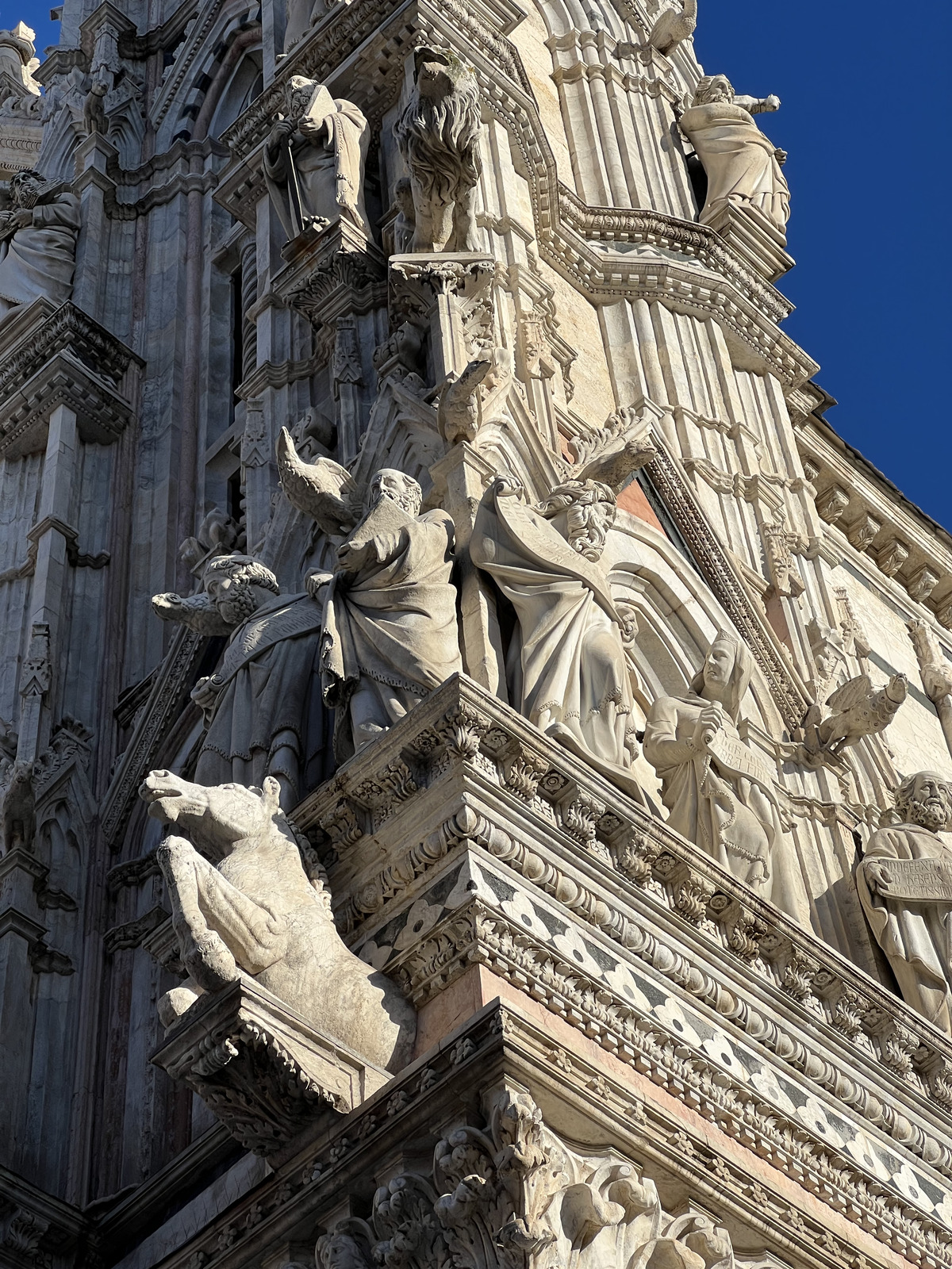 รูปถ่าย อิตาลี(Italy) ซีเอน่า(Siena) มหาวิหารเซียนา(Duomo di Siena) 2021-09 22