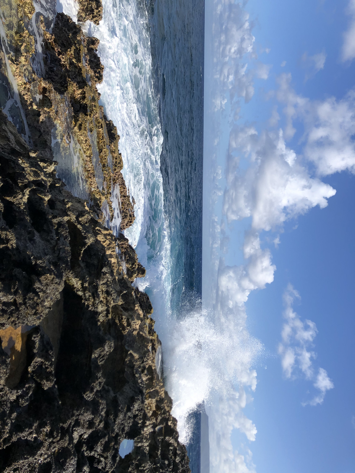 รูปถ่าย กวาเดอลูป(Guadeloupe) แหลมคาสเซิลพอยต์(Castle Point) 2021-02 202