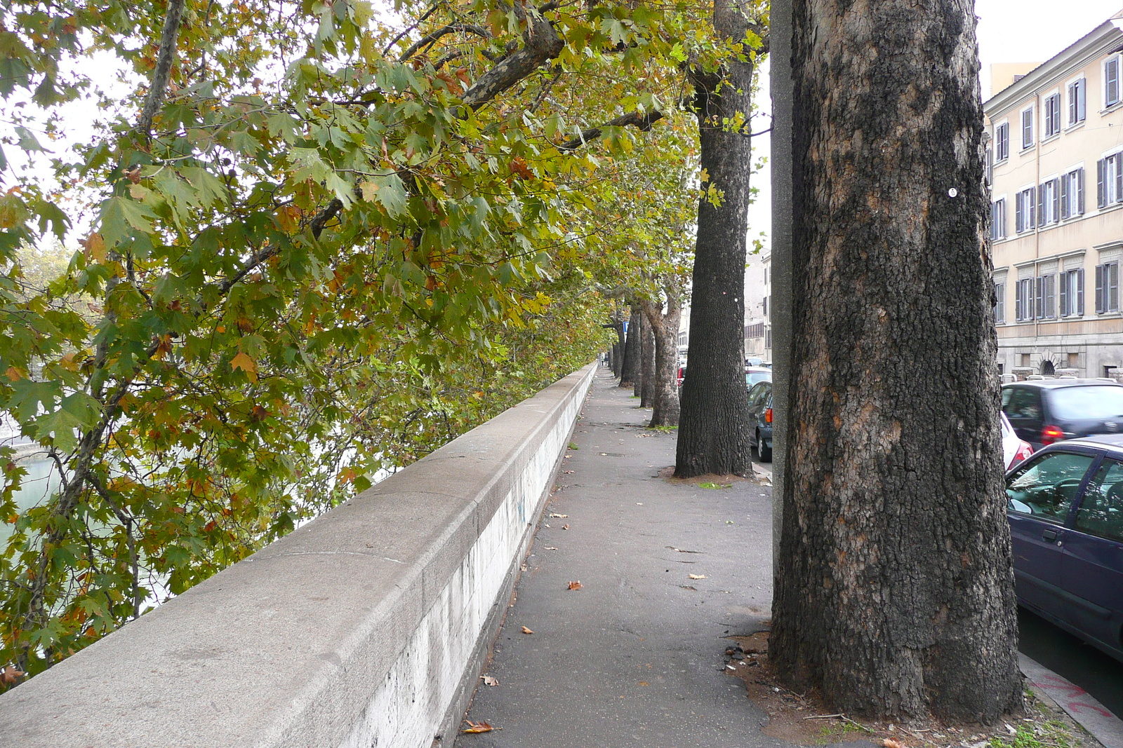 รูปถ่าย อิตาลี(Italy) โรม(Rome) ถนนริมน้ำจานีโกเลนเซ(Lungotevere Gianicolense) 2007-11 26