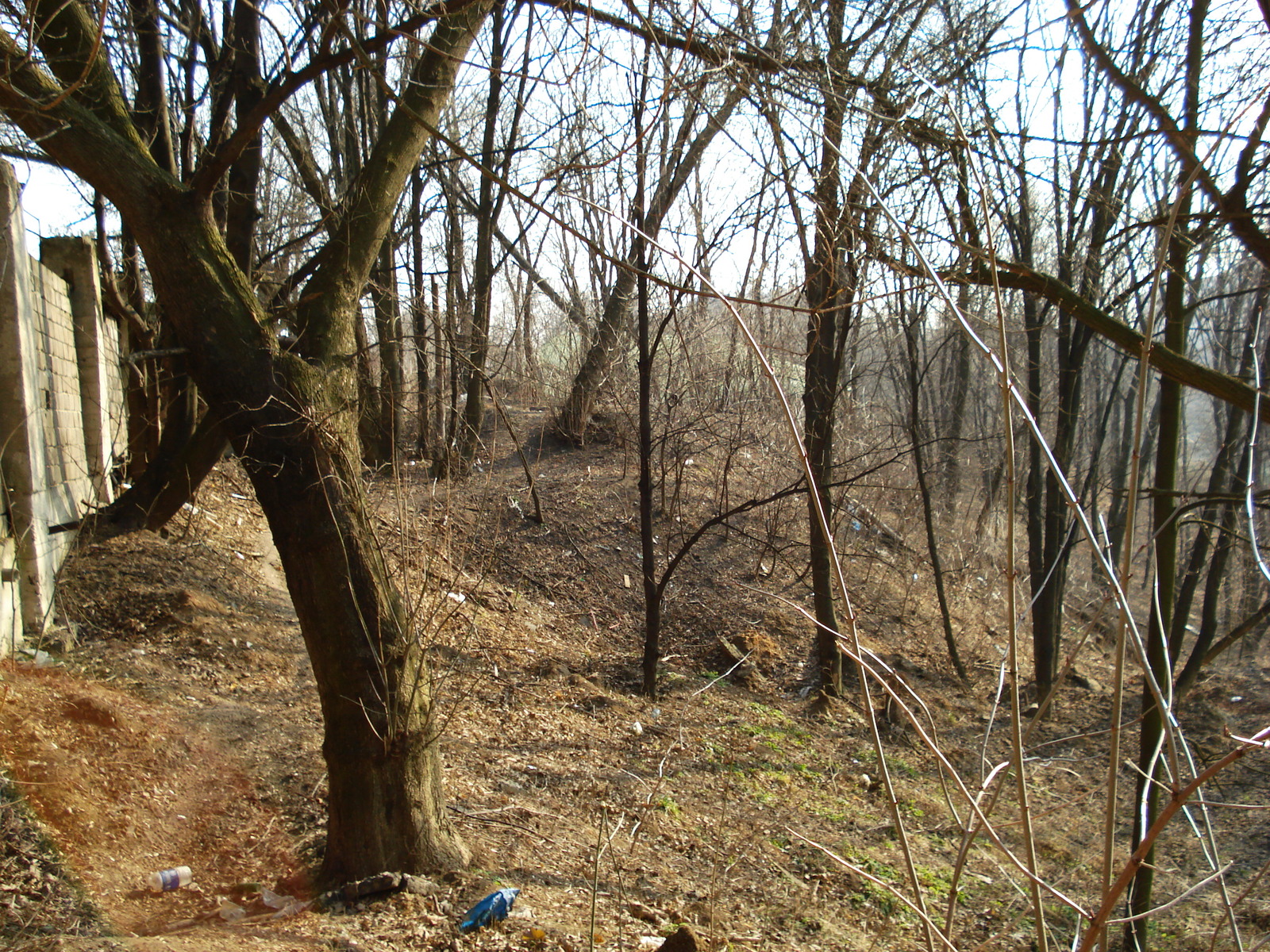 รูปถ่าย ยูเครน(Ukraine) เคียฟ(Kiev) ป้อมปราการเคียฟ(Kiev Fortress) 2007-03 0