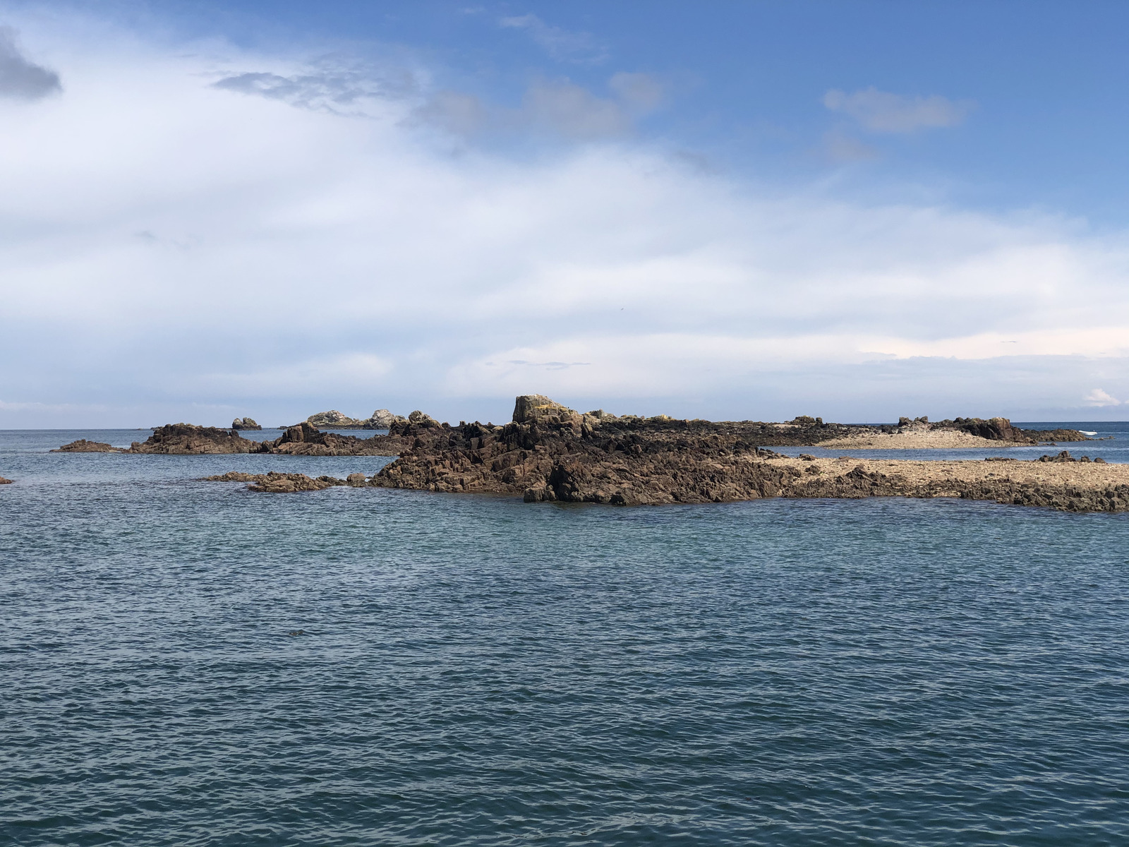 รูปถ่าย ฝรั่งเศส(France) เกาะเบรอา(Brehat Island) 2020-06 204