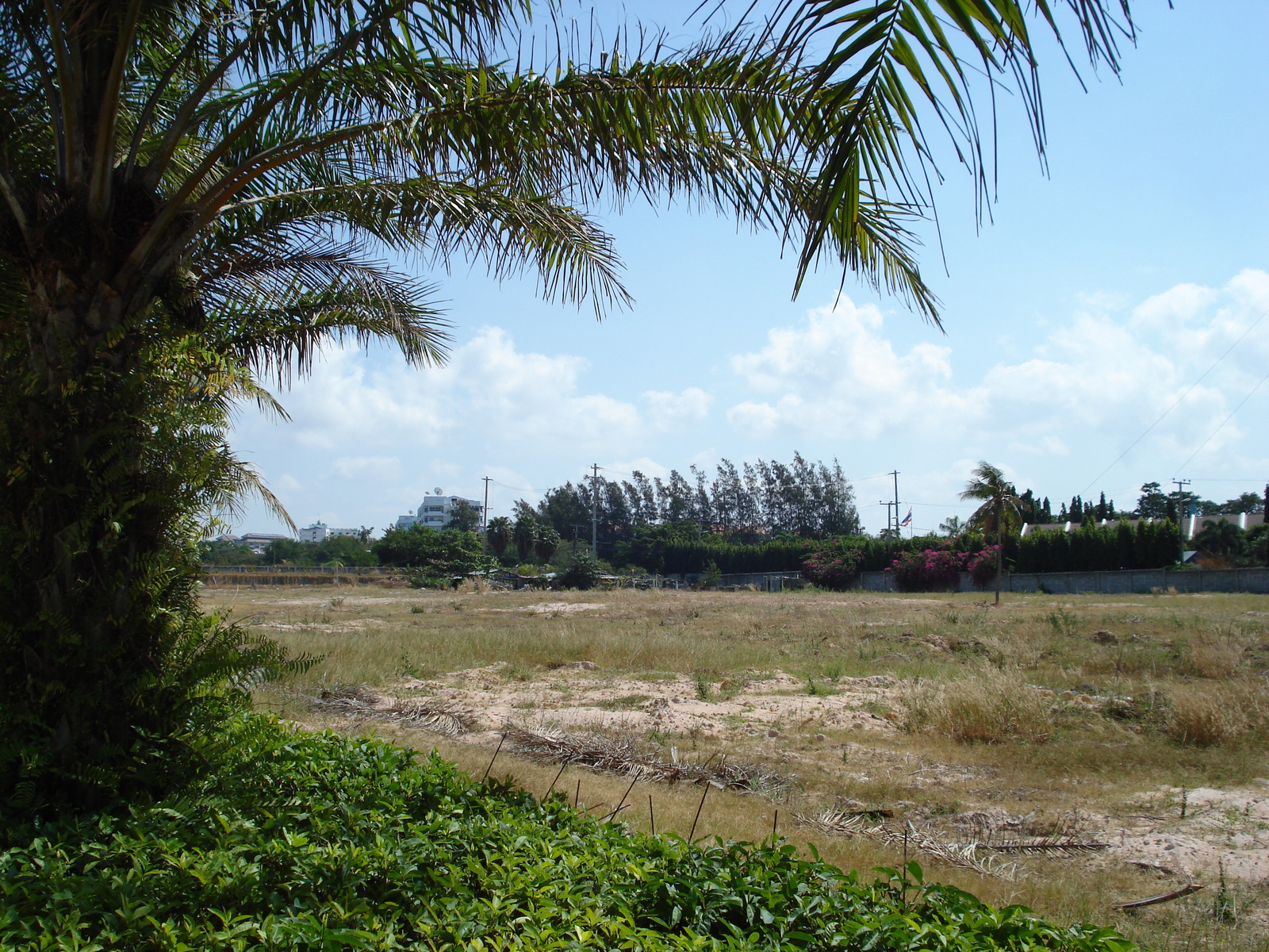 รูปถ่าย ไทย(Thailand) พัทยา(Pattaya) โกลเดนฮอร์น(Golden Horn) 2007-02 32