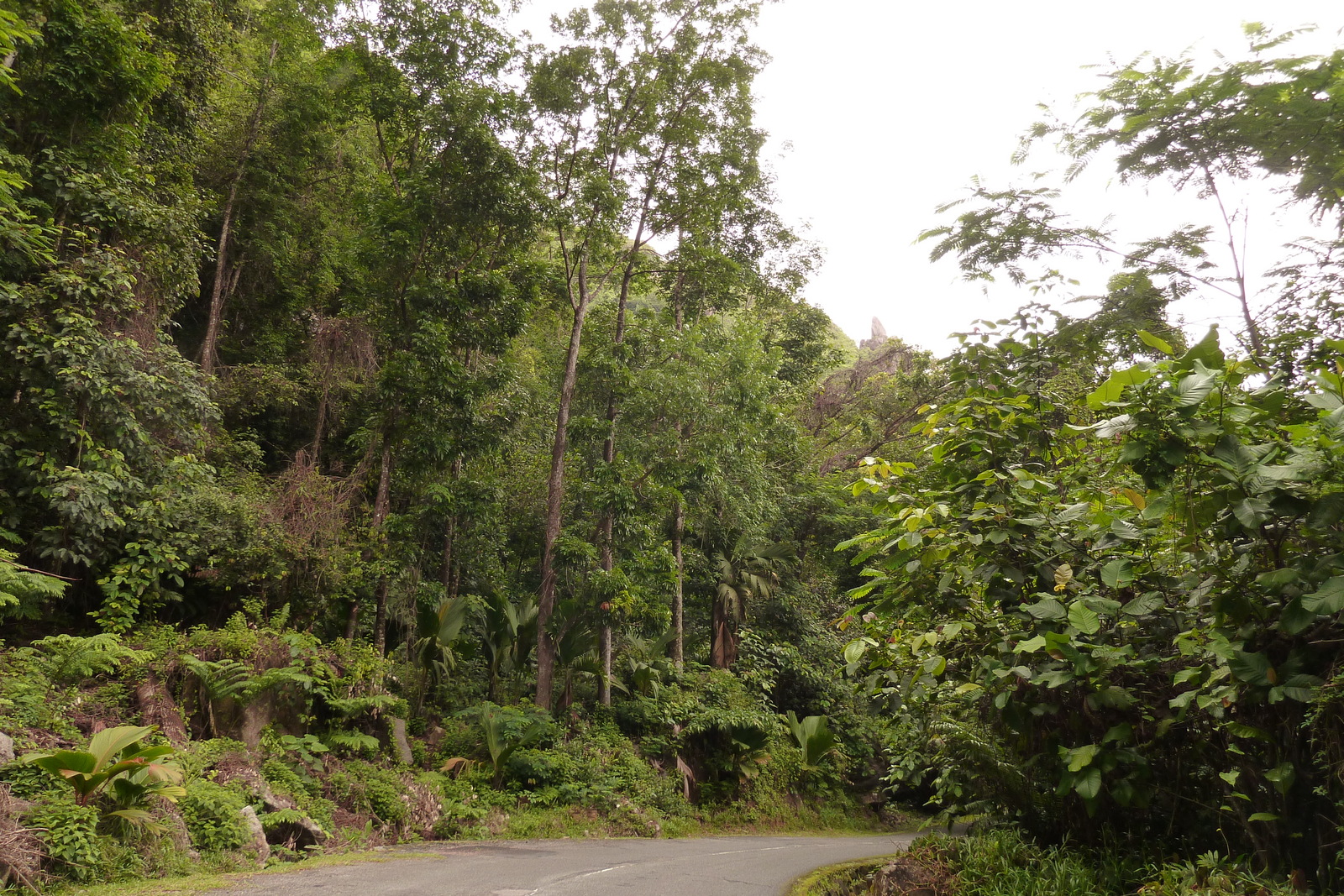 รูปถ่าย เซเชลส์(Seychelles) เกาะมาเฮ(Mahe) 2011-10 91