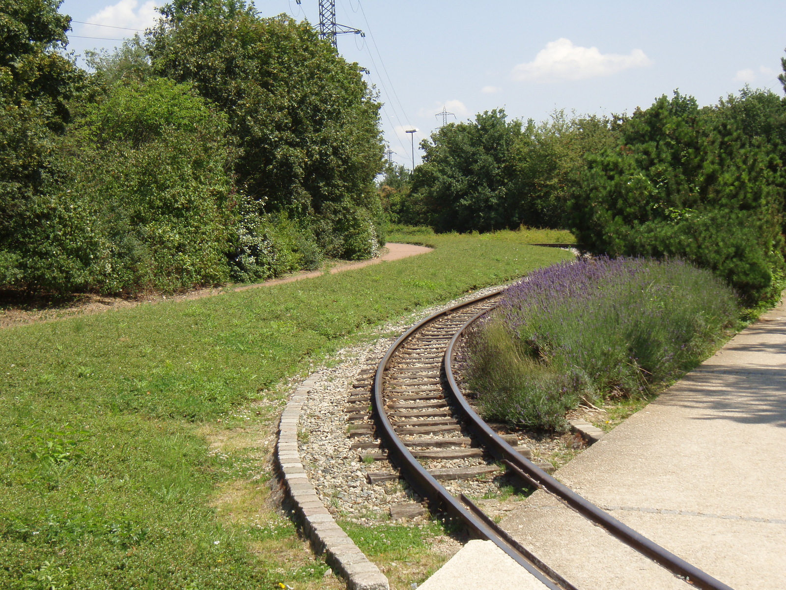 รูปถ่าย ฝรั่งเศส(France) วีลเนิฟ-ลา-การาน(Villeneuve La Garenne) สวนช็องเตอแรน(Parc des Chanteraines) 2007-07 45