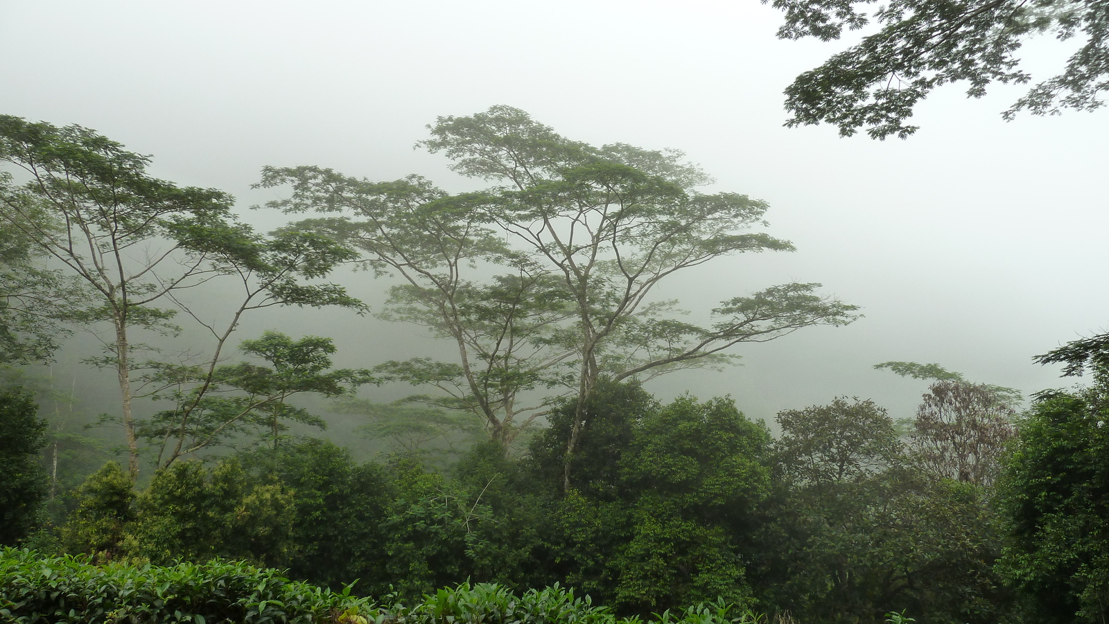รูปถ่าย เซเชลส์(Seychelles) 2011-10 75