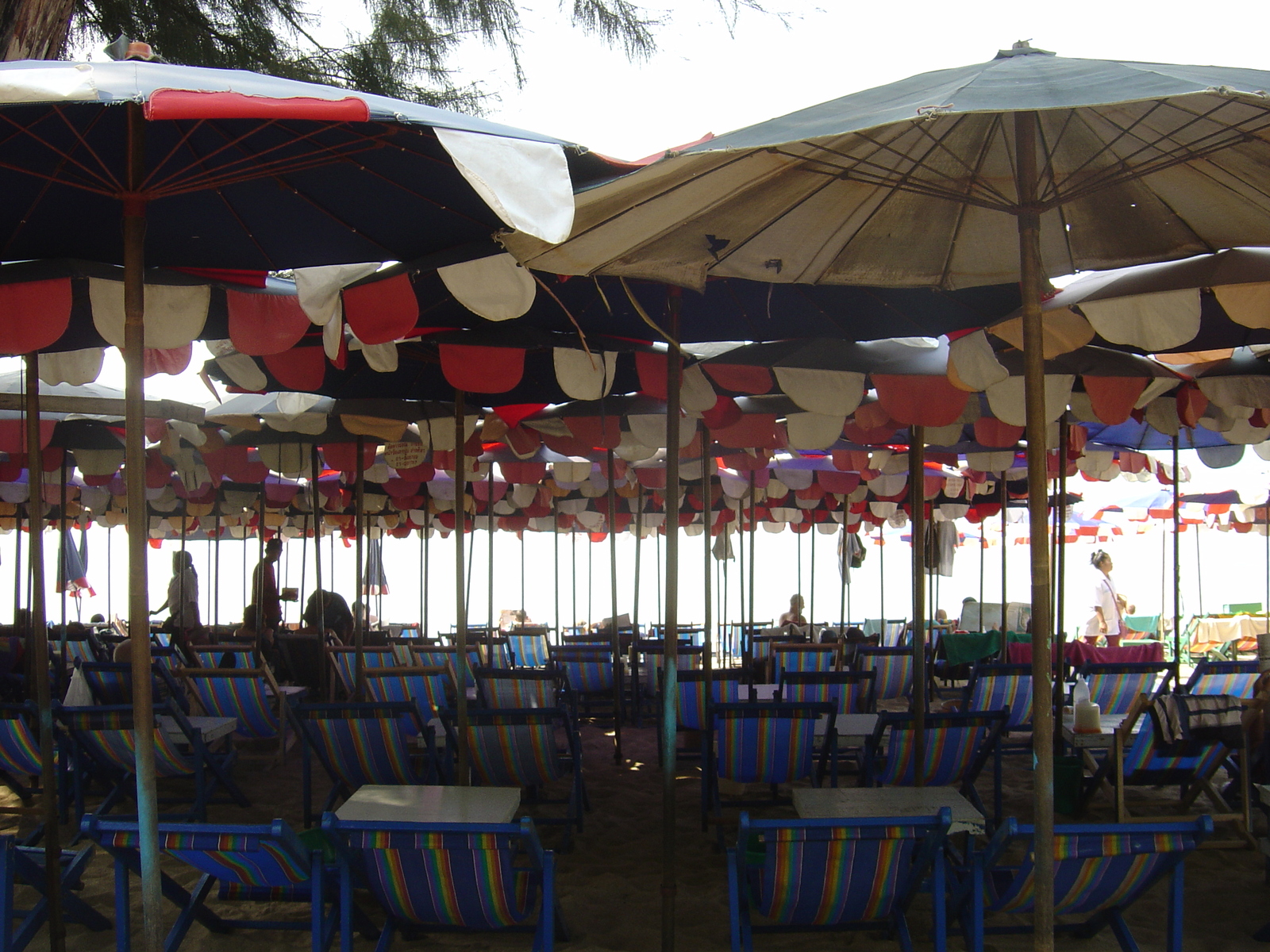 รูปถ่าย ไทย(Thailand) หาดจอมเทียน(Jomtien Beach) 2005-01 77