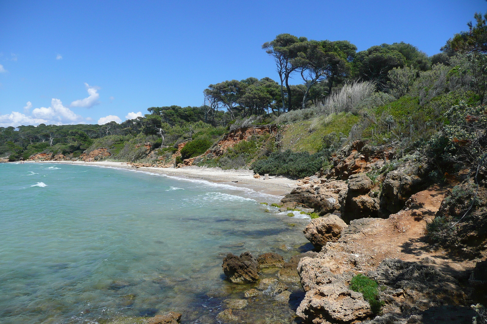 รูปถ่าย ฝรั่งเศส(France) เกาะปอร์เกอรอล(Porquerolles Island) หาดเลอแก็ง(Lequin beach) 2008-05 19