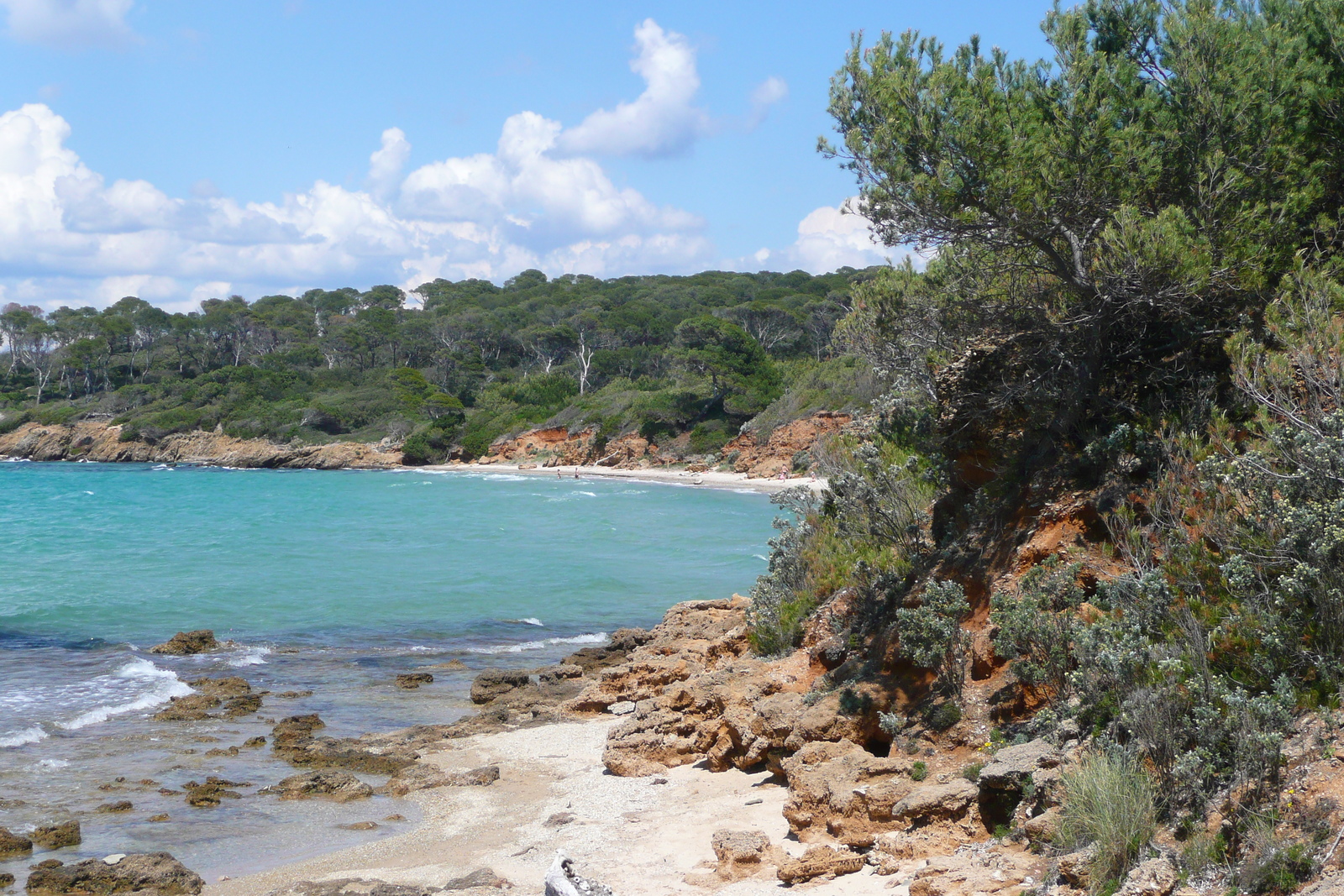 รูปถ่าย ฝรั่งเศส(France) เกาะปอร์เกอรอล(Porquerolles Island) หาดกูร์ตาด(Courtade beach) 2008-05 65