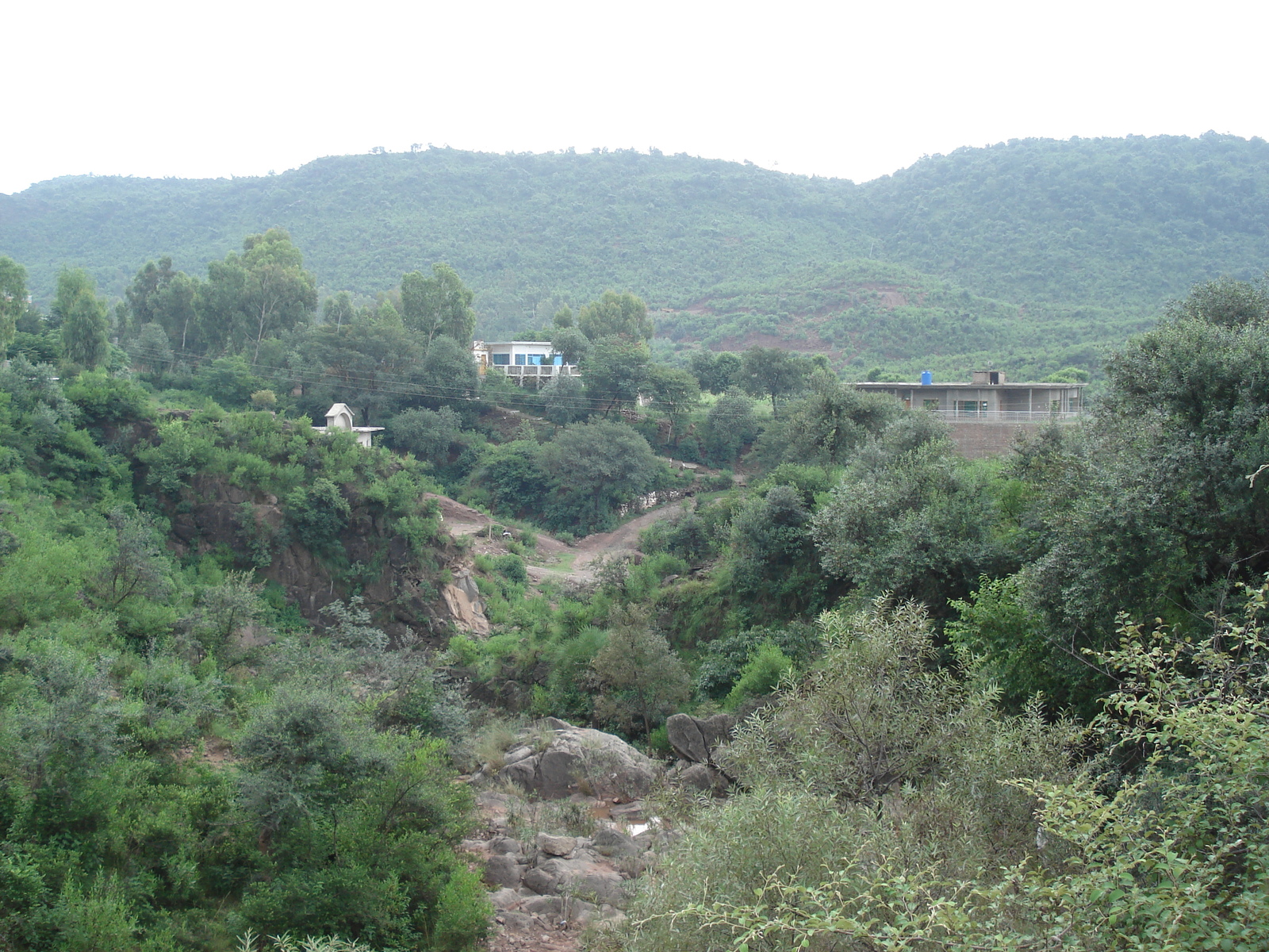 รูปถ่าย ปากีสถาน(Pakistan) ถนนจากอิสลามาบัดไปมัรรี(Islamabad to Murree road) 2006-08 70