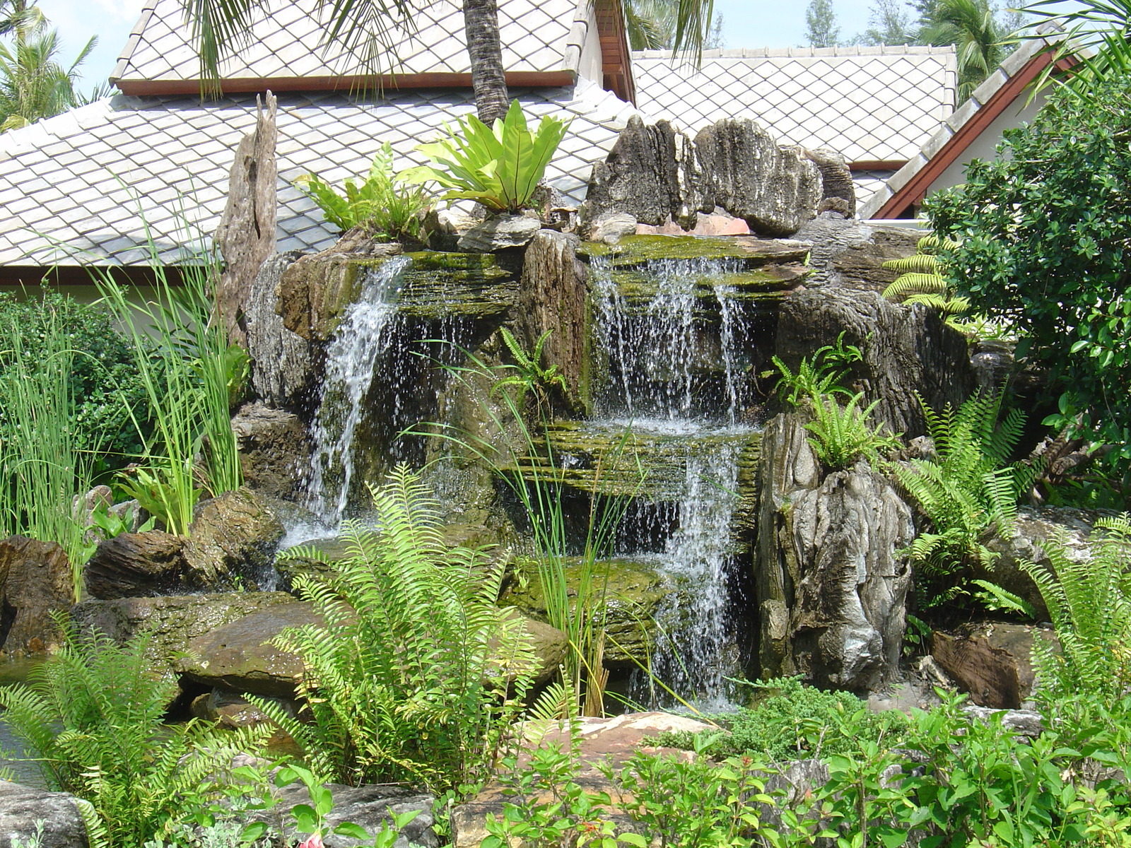 รูปถ่าย ไทย(Thailand) เขาหลัก(Khao Lak) โรงแรมเลอเมอริเดียน เขาหลัก(Meridien Khao Lak Hotel) 2005-12 216