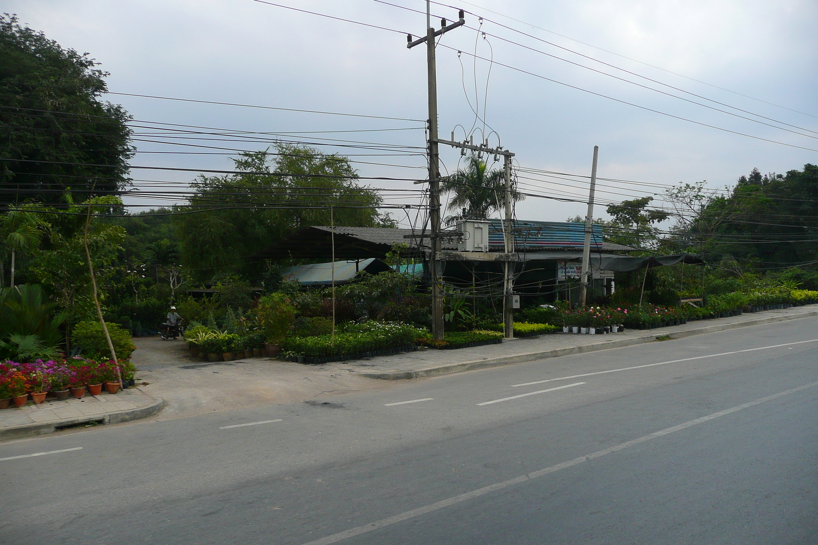 รูปถ่าย ไทย(Thailand) ชลบุรี(Chonburi) ถนนสุขุมวิท(Sukhumvit road) 2008-01 69