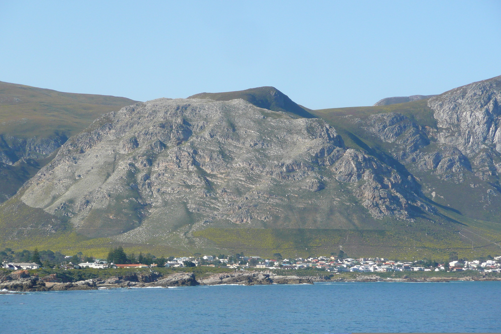 รูปถ่าย แอฟริกาใต้(South Africa) เฮอร์มานัส(Harmanus) 2008-09 67