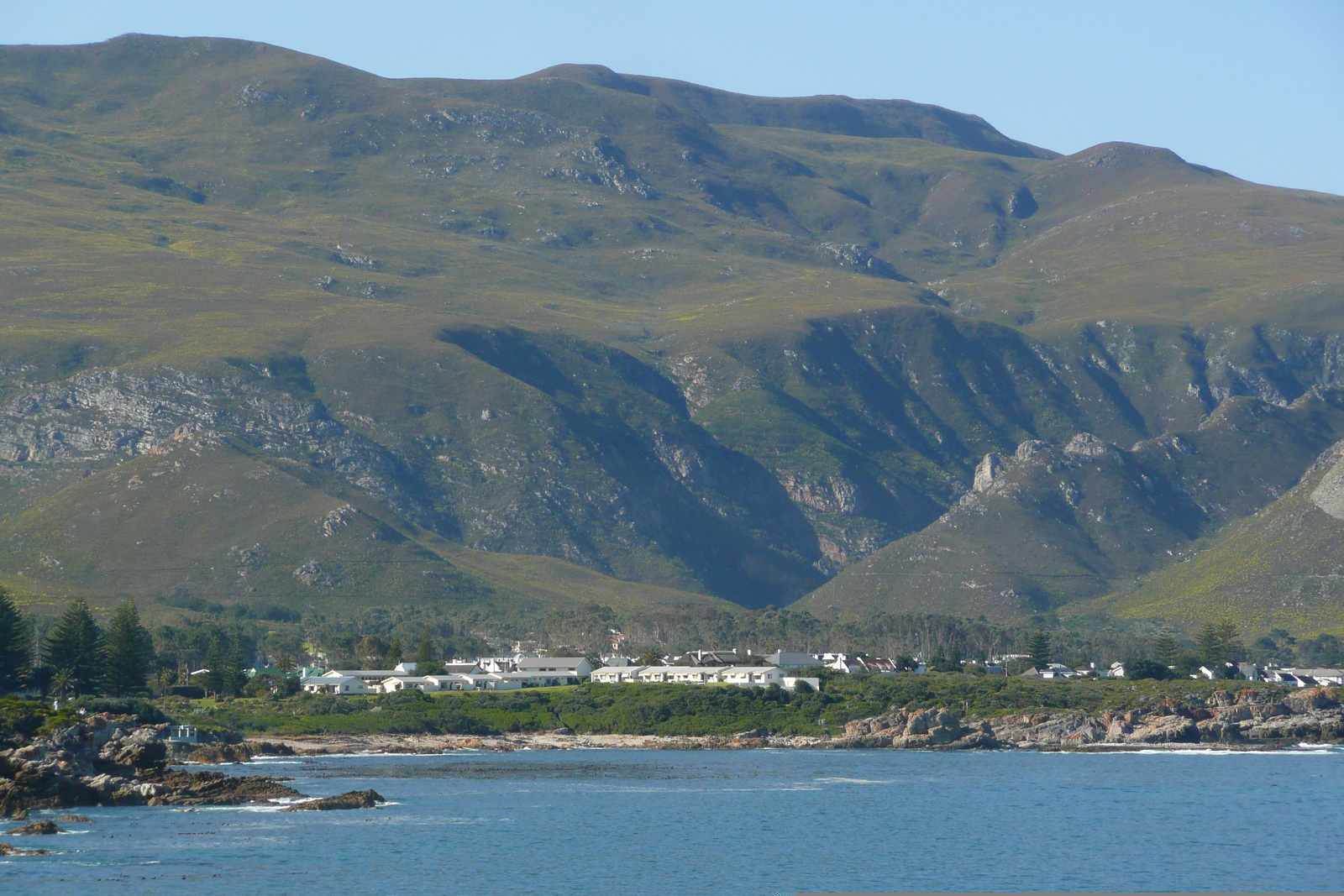 รูปถ่าย แอฟริกาใต้(South Africa) เฮอร์มานัส(Harmanus) 2008-09 47