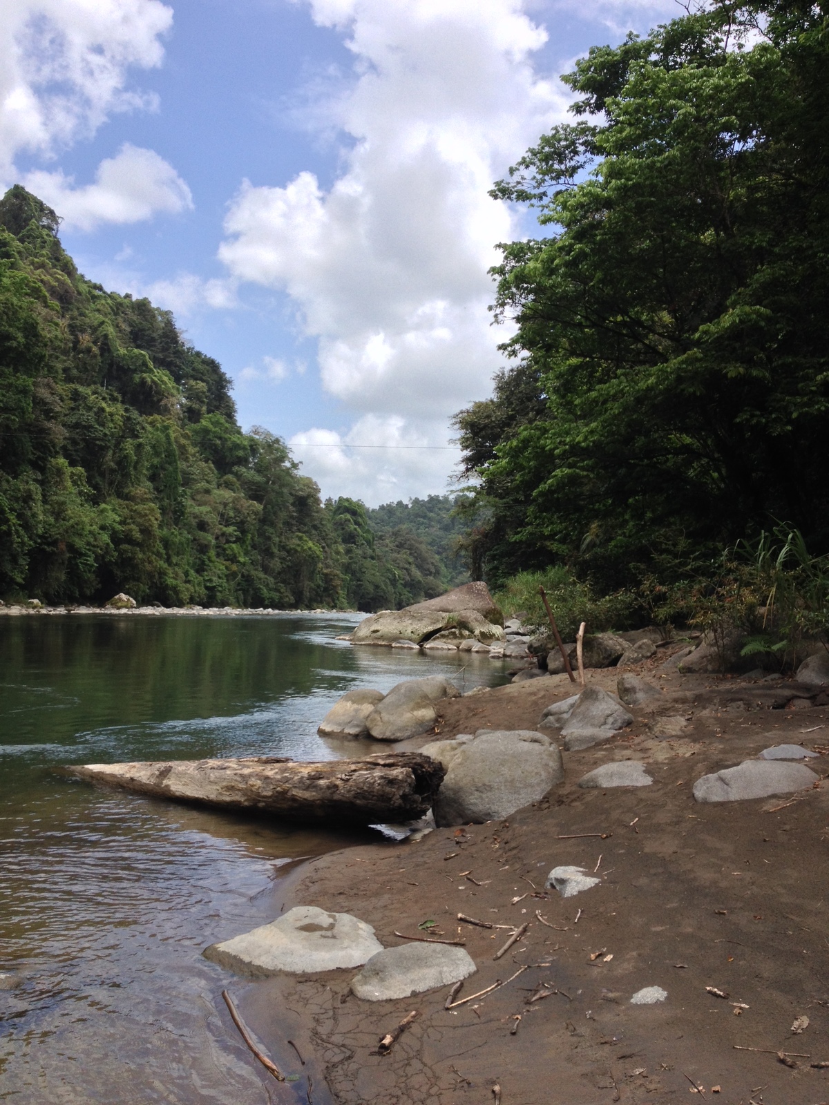 รูปถ่าย คอสตาริกา(Costa Rica) แม่น้ำปากัวเร(Pacuare River) 2015-03 253
