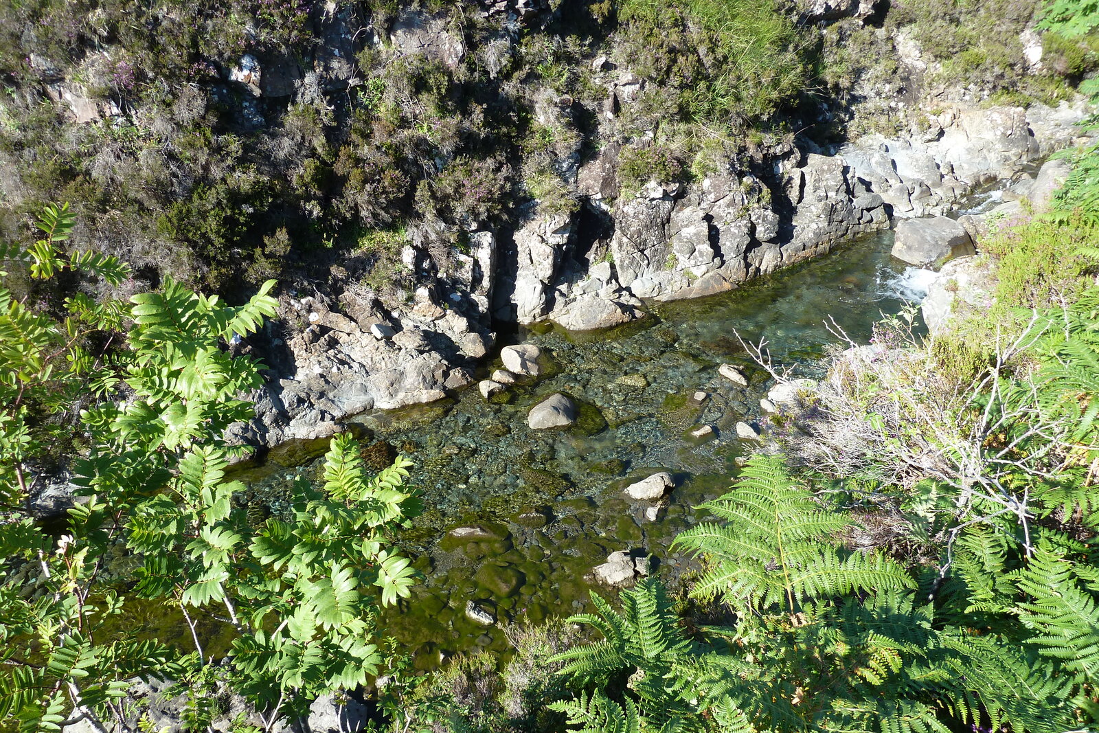 รูปถ่าย อังกฤษ(United Kingdom) เกาะสกาย(Skye) 2011-07 76
