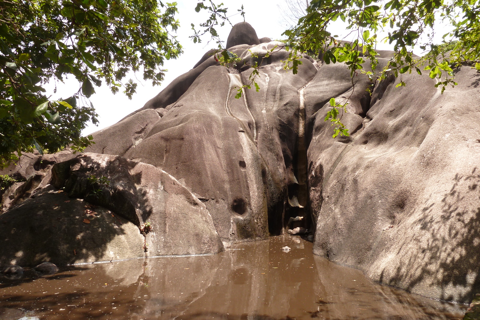 รูปถ่าย เซเชลส์(Seychelles) เกาะลาดีก(La Digue) 2011-10 241