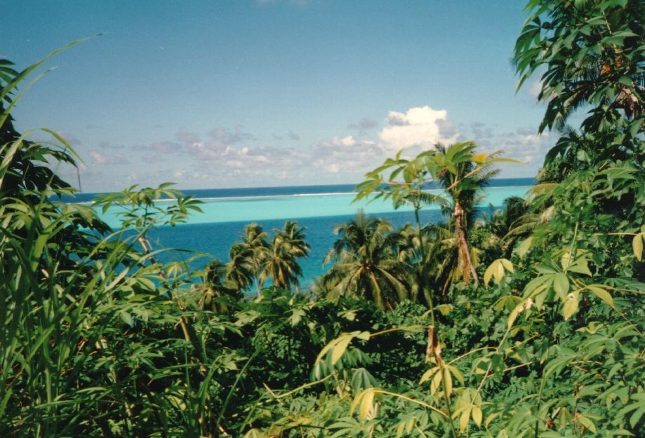 รูปถ่าย เฟรนช์โพลี่นีเซีย(Polynesia) 1993-04 82
