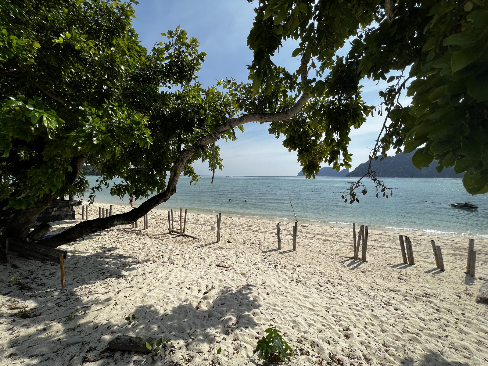 รูปถ่าย ไทย(Thailand) เกาะพีพีดอน(Ko Phi Phi Don) 2021-12 130