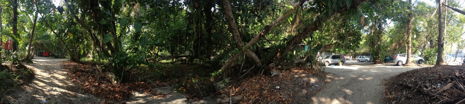 รูปถ่าย คอสตาริกา(Costa Rica) มานวยล์อันโตนีโอ(Manuel Antonio) 2015-03 207