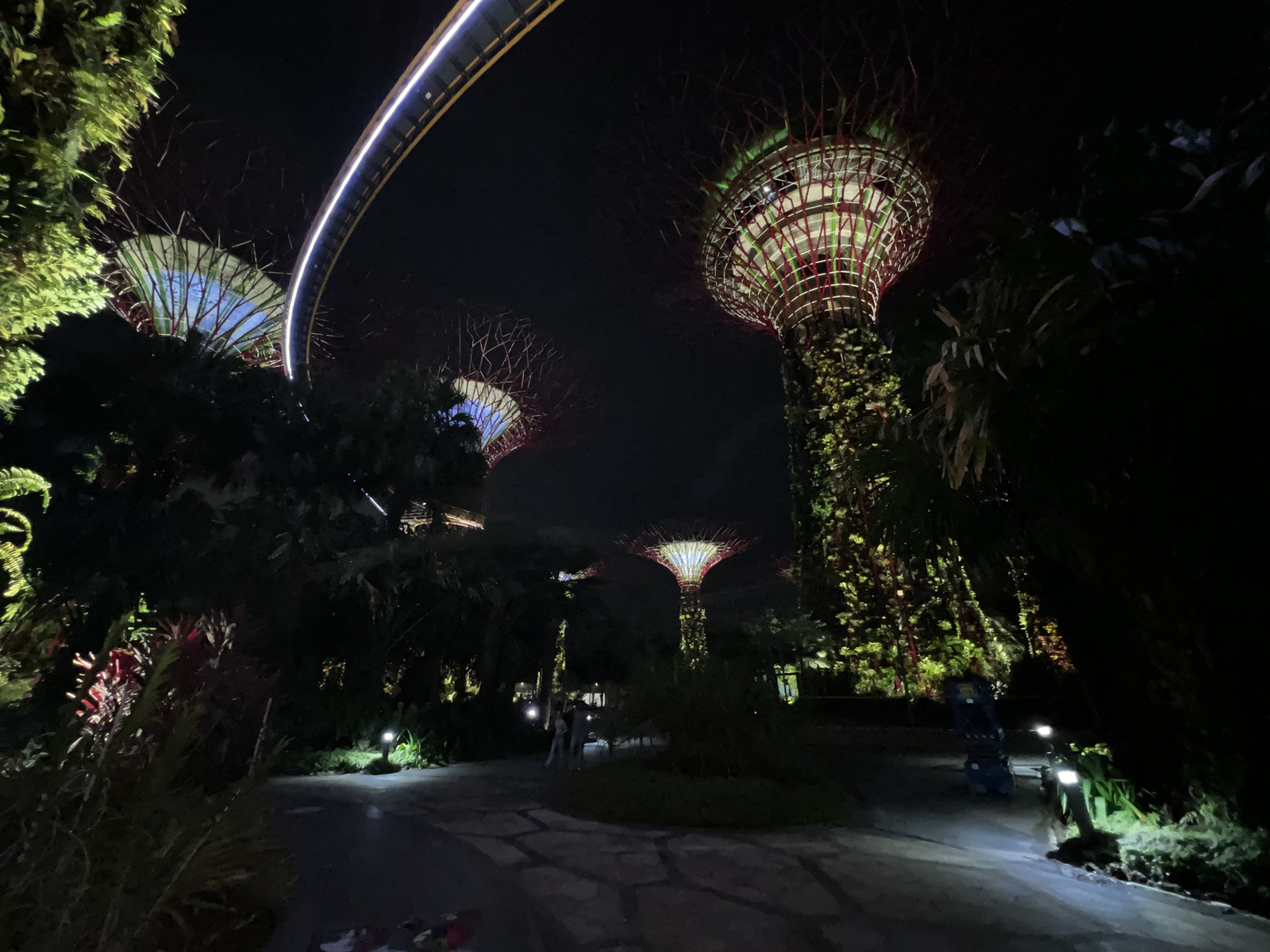 รูปถ่าย สิงคโปร์(Singapore) การ์เดนส์บายเดอะเบย์(Garden by the bay) 2023-01 0