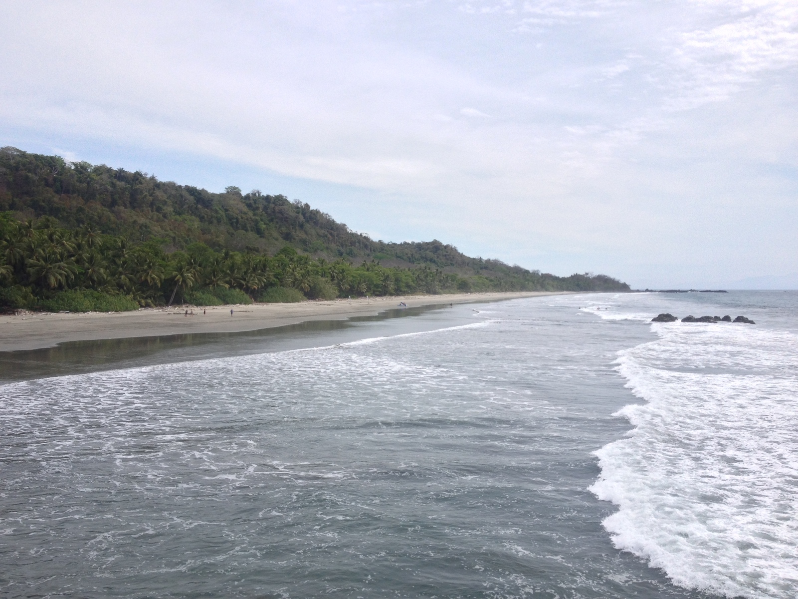 รูปถ่าย คอสตาริกา(Costa Rica) มอนเตซูมา(Montezuma) 2015-03 267