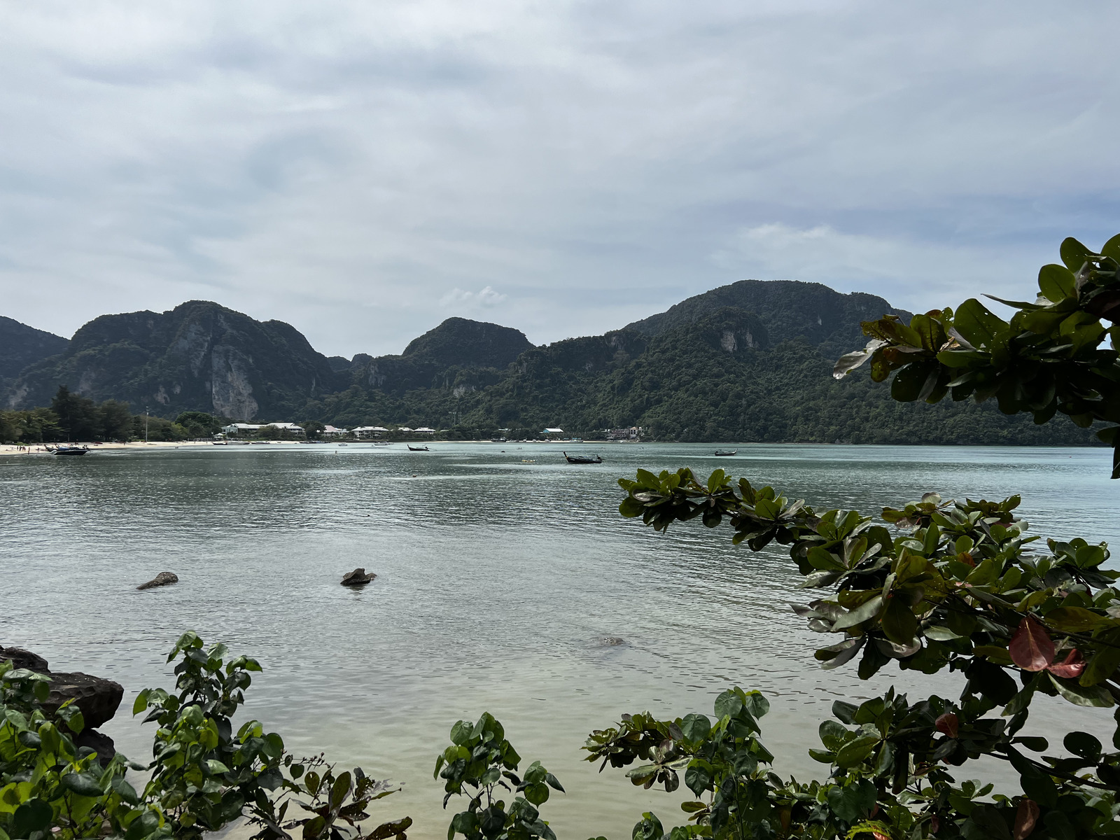 รูปถ่าย ไทย(Thailand) เกาะพีพีดอน(Ko Phi Phi Don) 2021-12 146