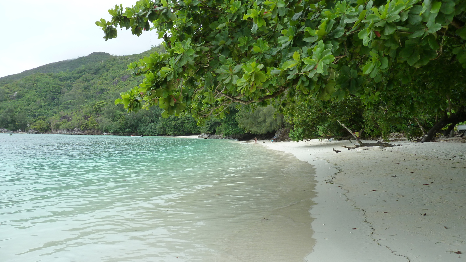 รูปถ่าย เซเชลส์(Seychelles) เกาะมาเฮ(Mahe) 2011-10 2