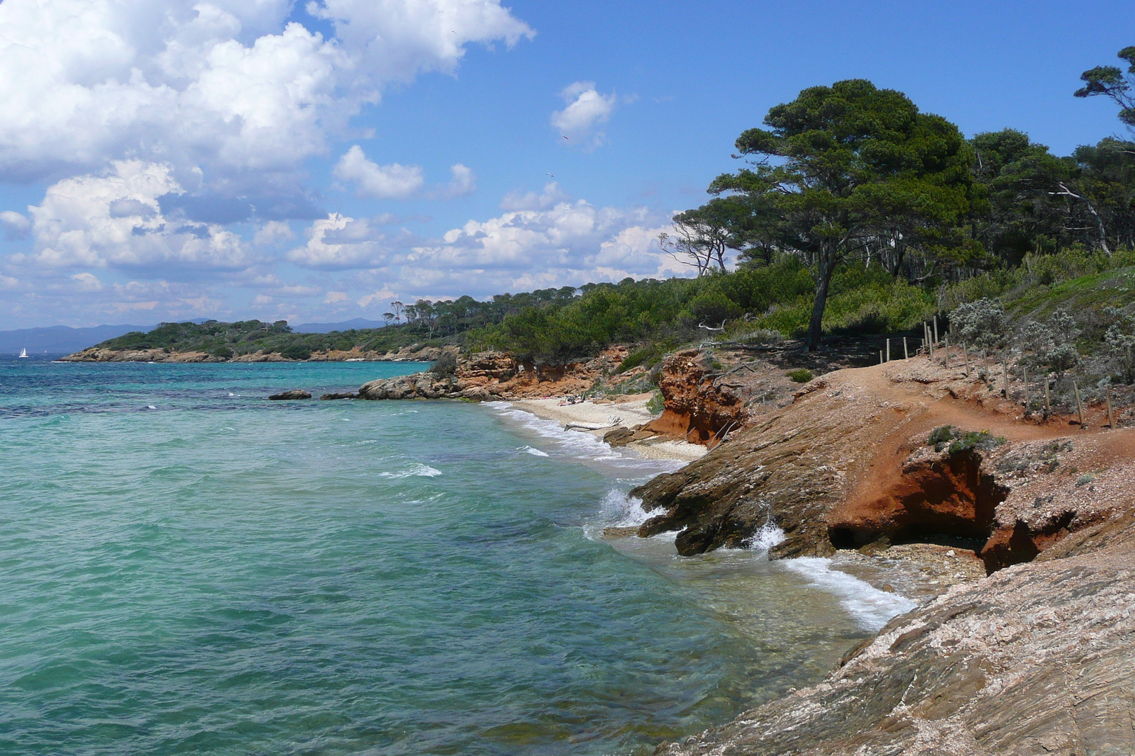 รูปถ่าย ฝรั่งเศส(France) เกาะปอร์เกอรอล(Porquerolles Island) หาดกูร์ตาด(Courtade beach) 2008-05 75