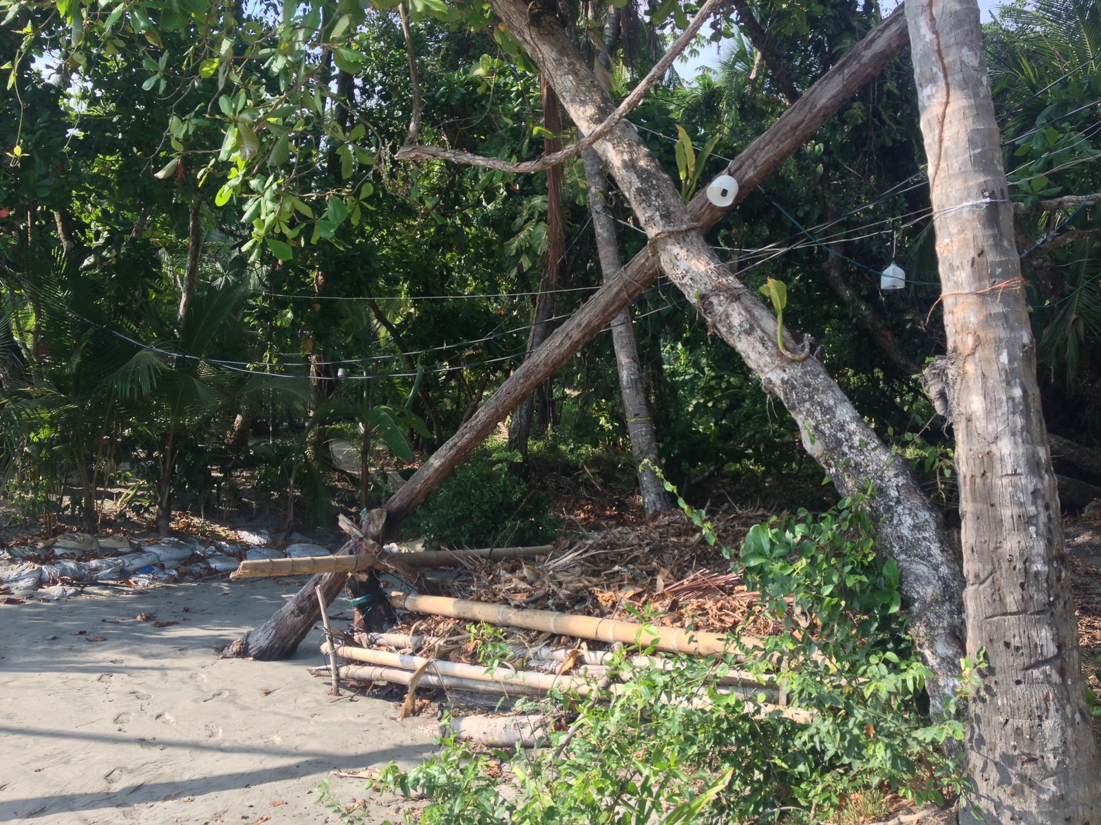 รูปถ่าย คอสตาริกา(Costa Rica) มานวยล์อันโตนีโอ(Manuel Antonio) 2015-03 270