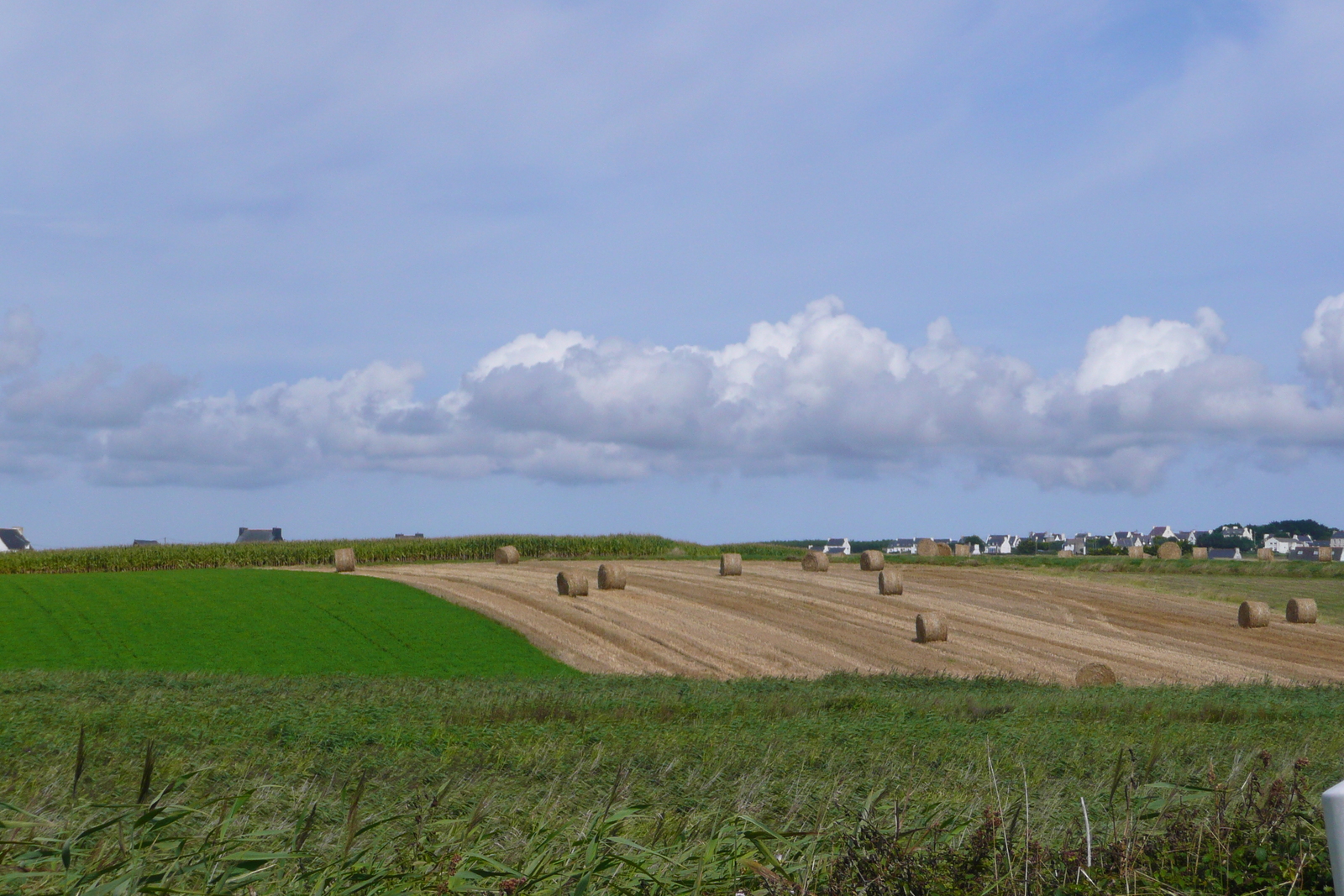 รูปถ่าย ฝรั่งเศส(France) ปลูอีแน็ก(Plouinec) 2008-07 17