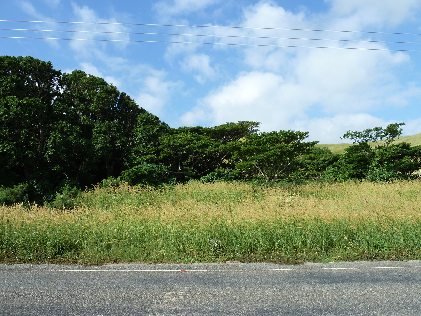 รูปถ่าย ฟิจิ(Fiji) ถนนจากนาดีไปนาตาโดลา(Nadi to Natadola road) 2010-05 36
