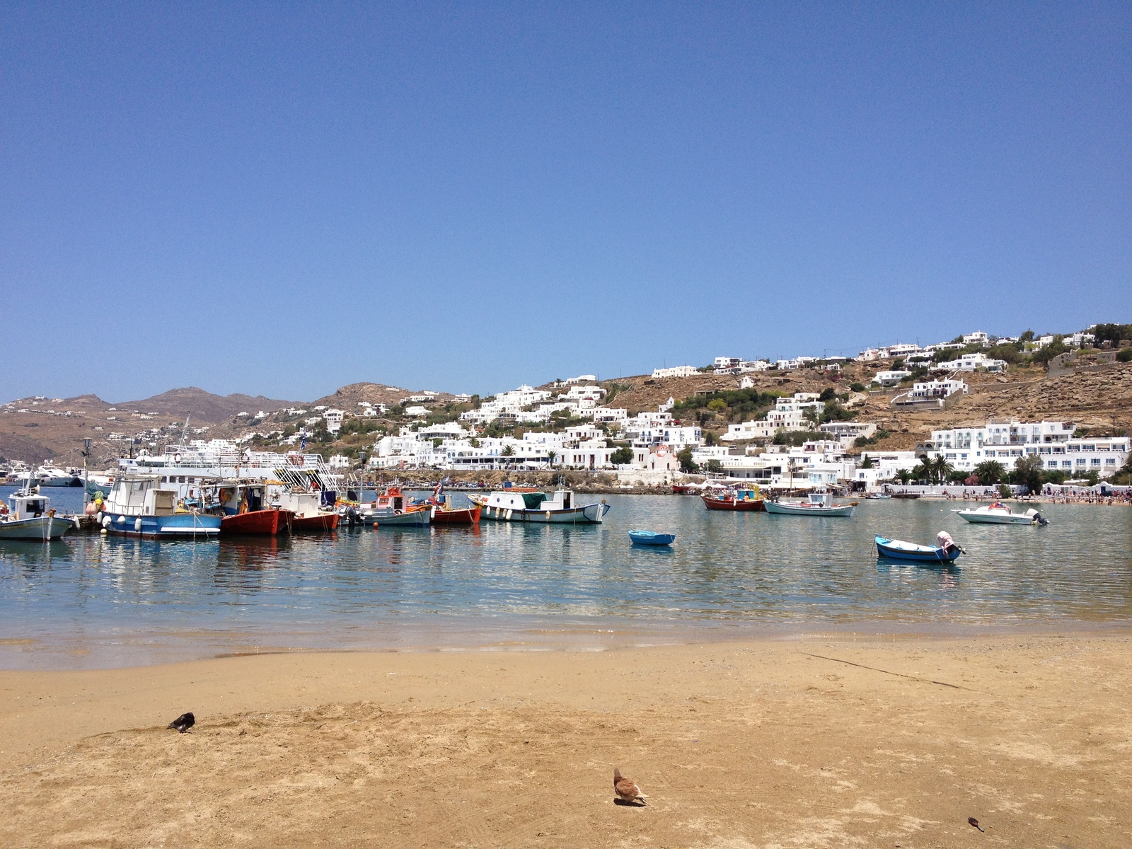 รูปถ่าย กรีก(Greece) เกาะมิโคนอส(Mykonos) 2014-07 75