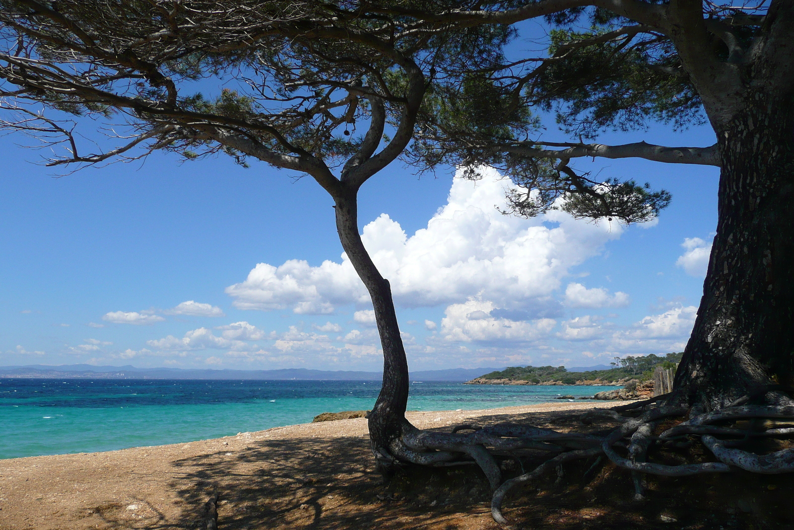 รูปถ่าย ฝรั่งเศส(France) เกาะปอร์เกอรอล(Porquerolles Island) หาดกูร์ตาด(Courtade beach) 2008-05 1