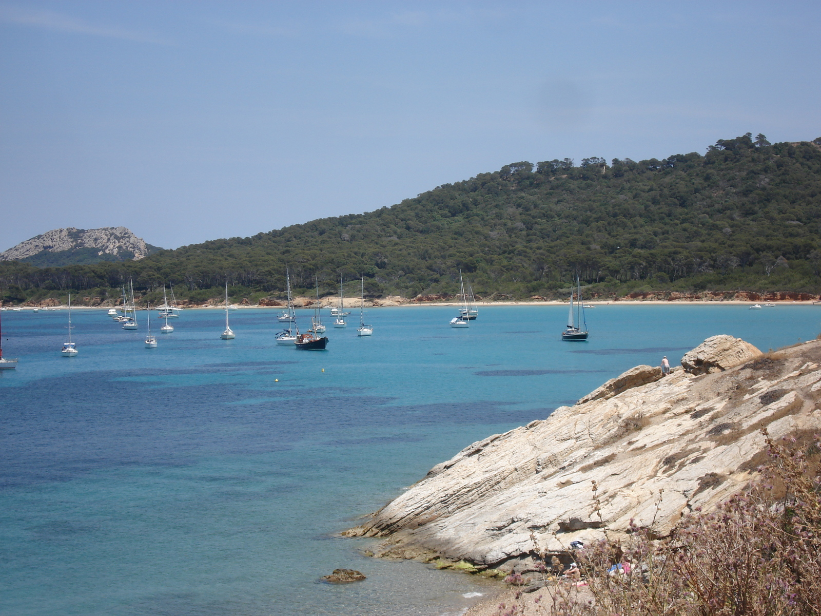 รูปถ่าย ฝรั่งเศส(France) เกาะปอร์เกอรอล(Porquerolles Island) 2006-06 34
