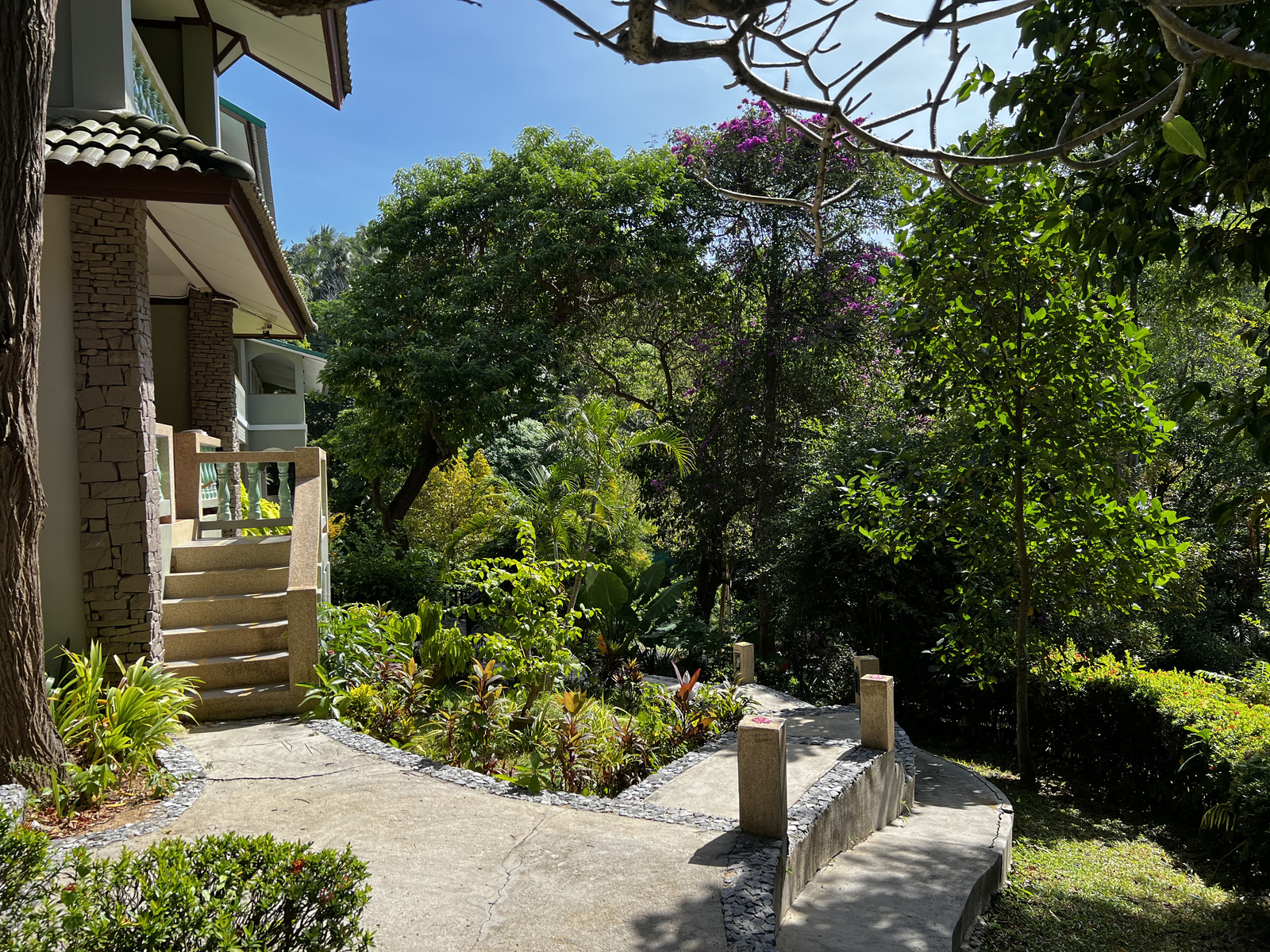 รูปถ่าย ไทย(Thailand) ภูเก็ต(Phuket) หาดกะตะ(Kata Beach) กะตะการ์เด้นรีสอร์ต(Kata Garden Resort) 2021-12 15